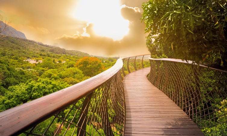 How to Reach Kruger National Park?