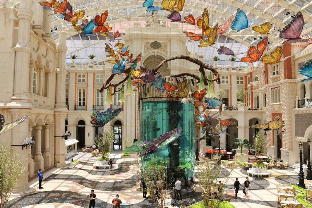 Visit the Aquarium (MGM)