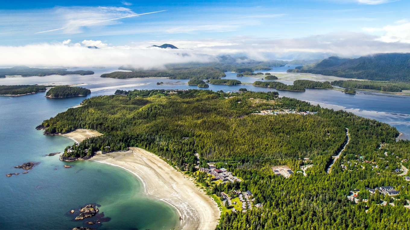 Tofino