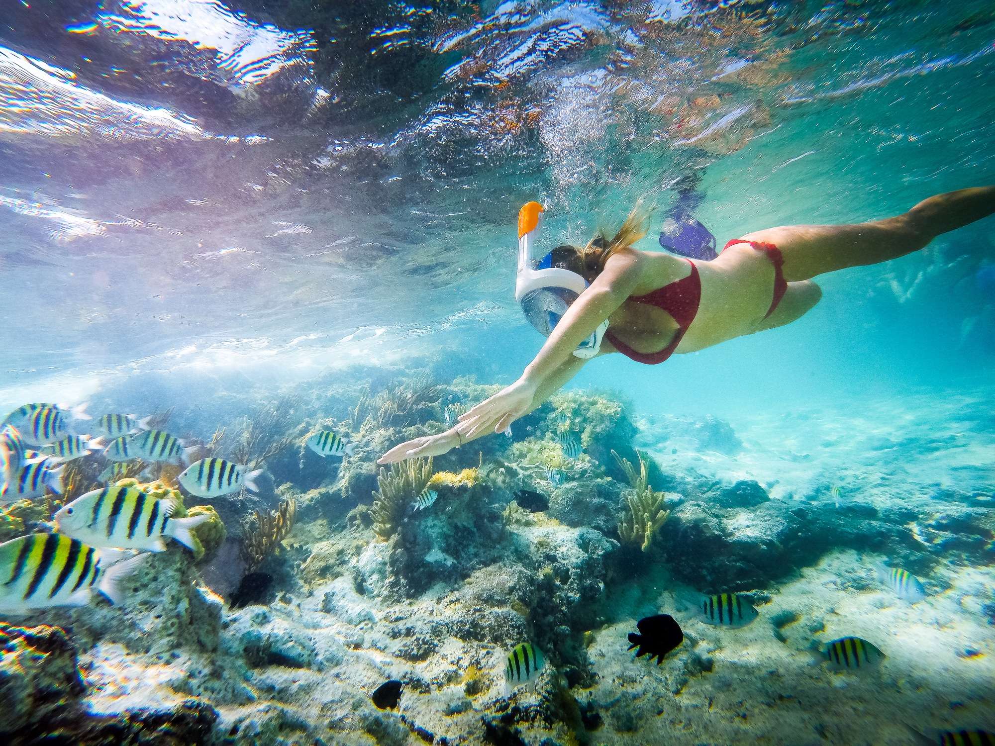 Go for Snorkeling on The Green Island