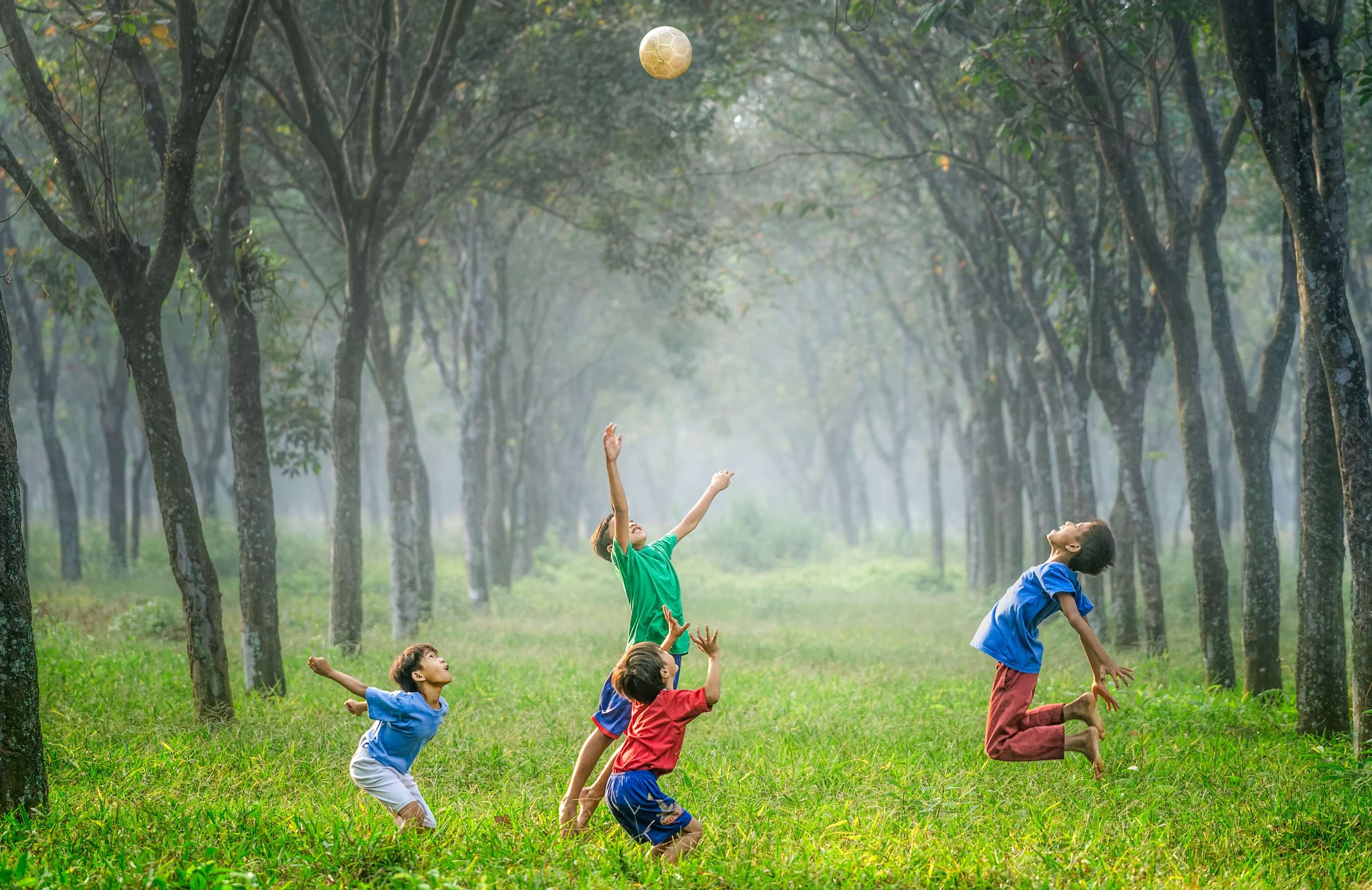 Have Fun With Kids at The Taipei Zoo