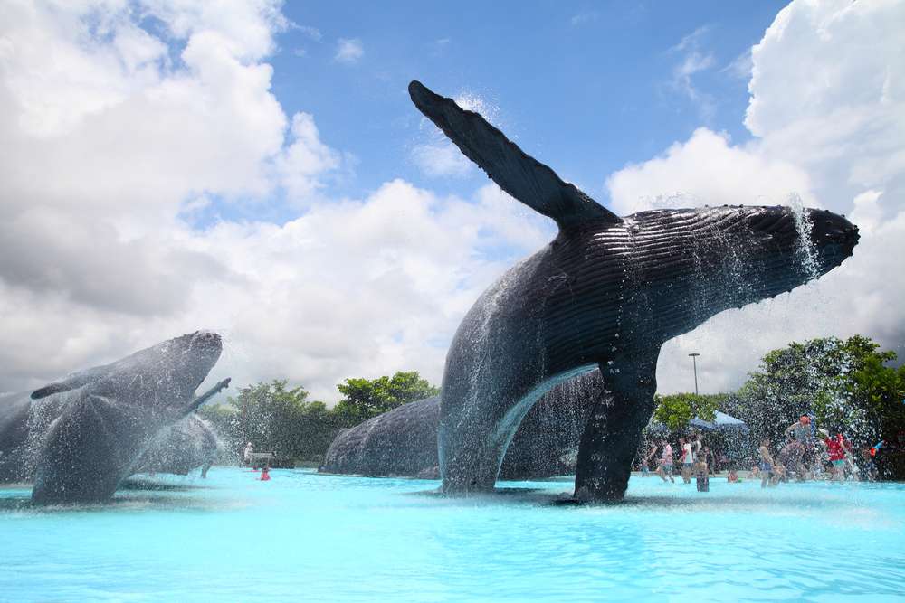 Explore the National Museum of Marine Biology and Aquarium