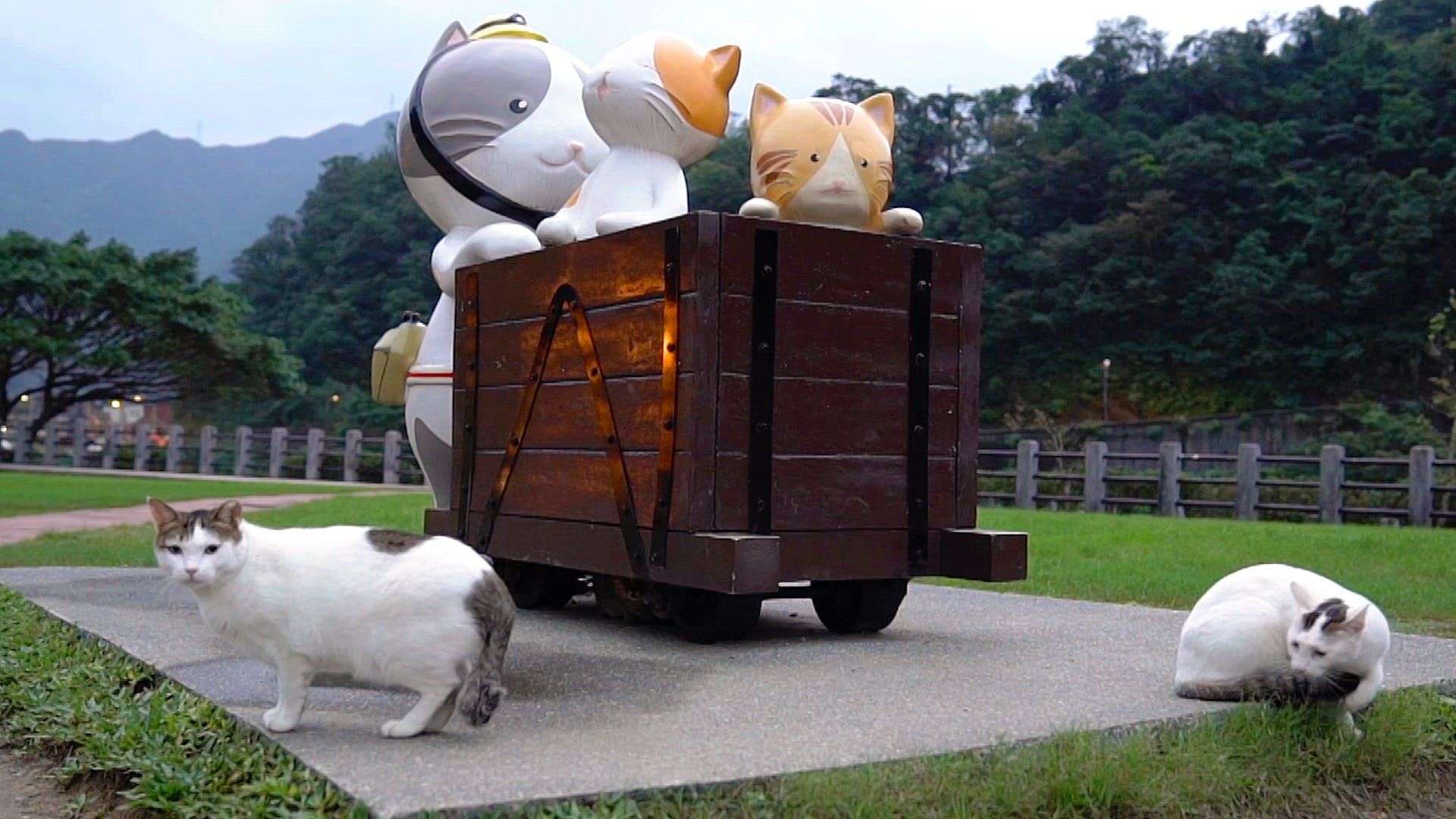 Visit Houtong, A Cat Populated Village