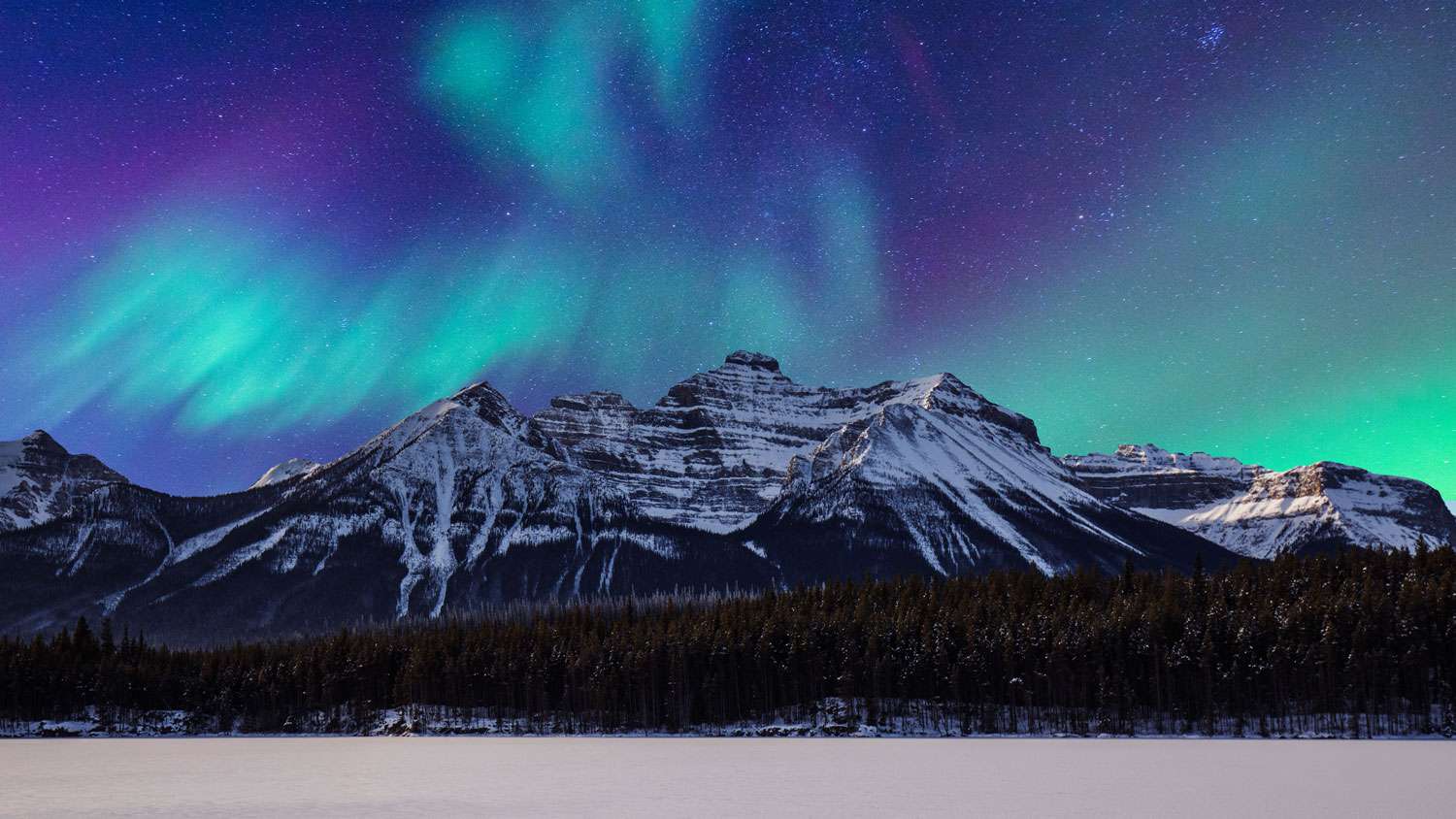Witness The Northern Lights In Whitehorse