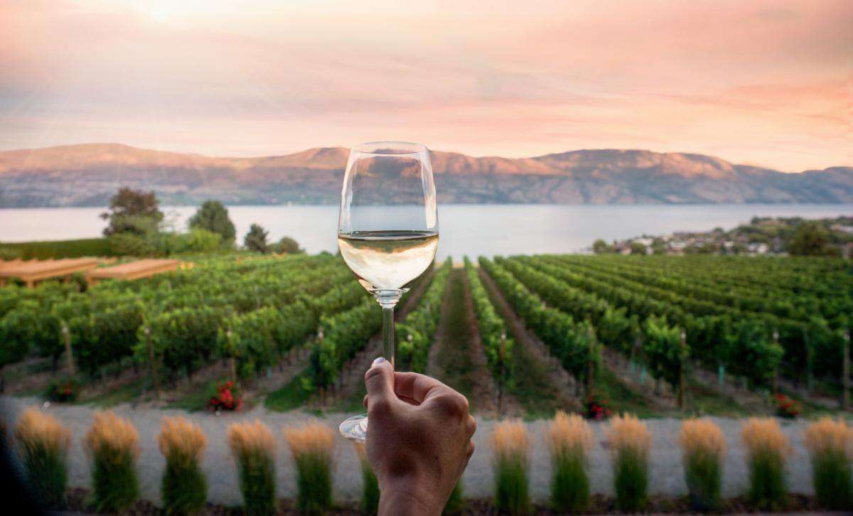 Taste Some Wine At Okanagan Valley