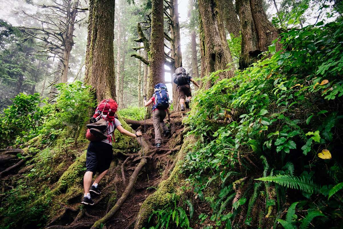 Hike The West Coast Trail