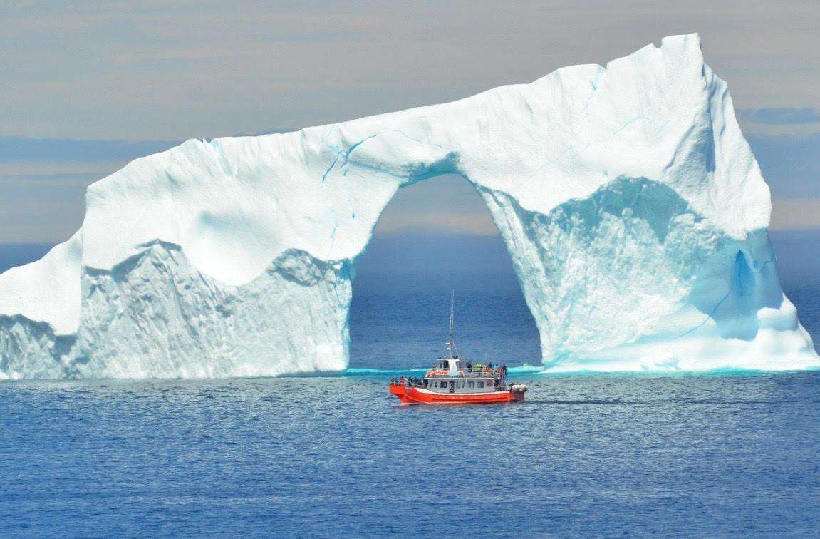  Float through Iceberg Alley in Newfoundland