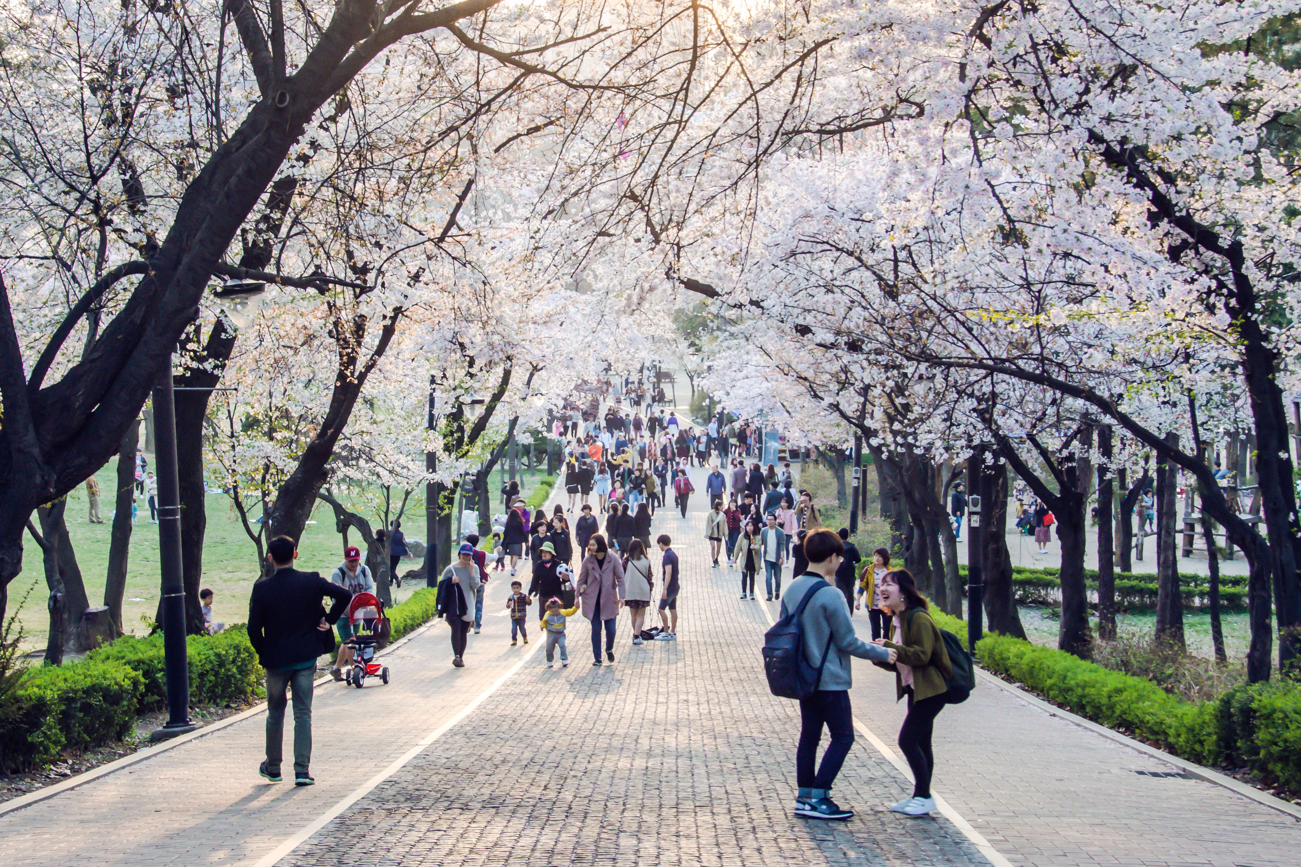 Escape to the Seoul Grand Park
