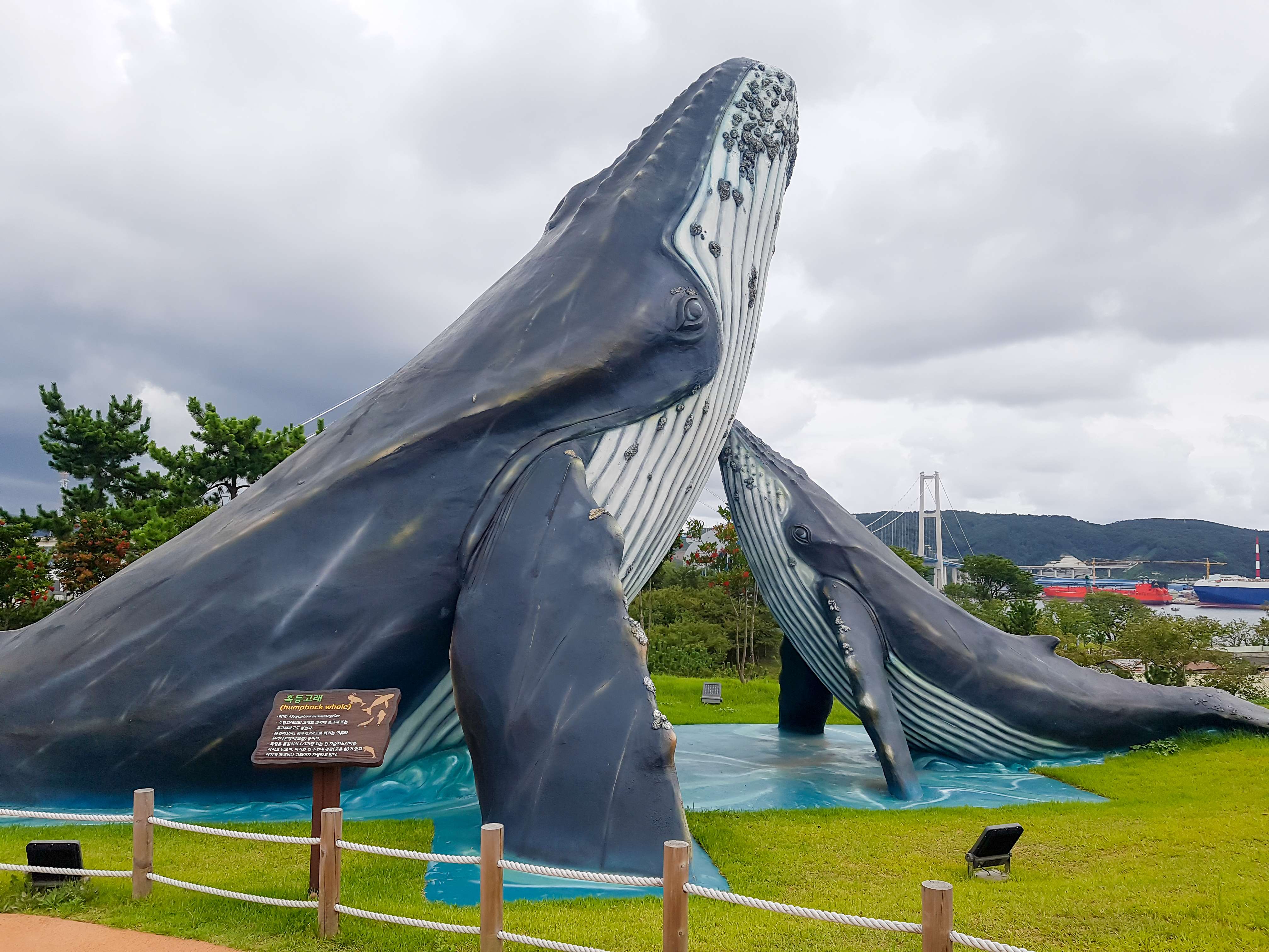 Visit Jangsaengpo Whale Museum