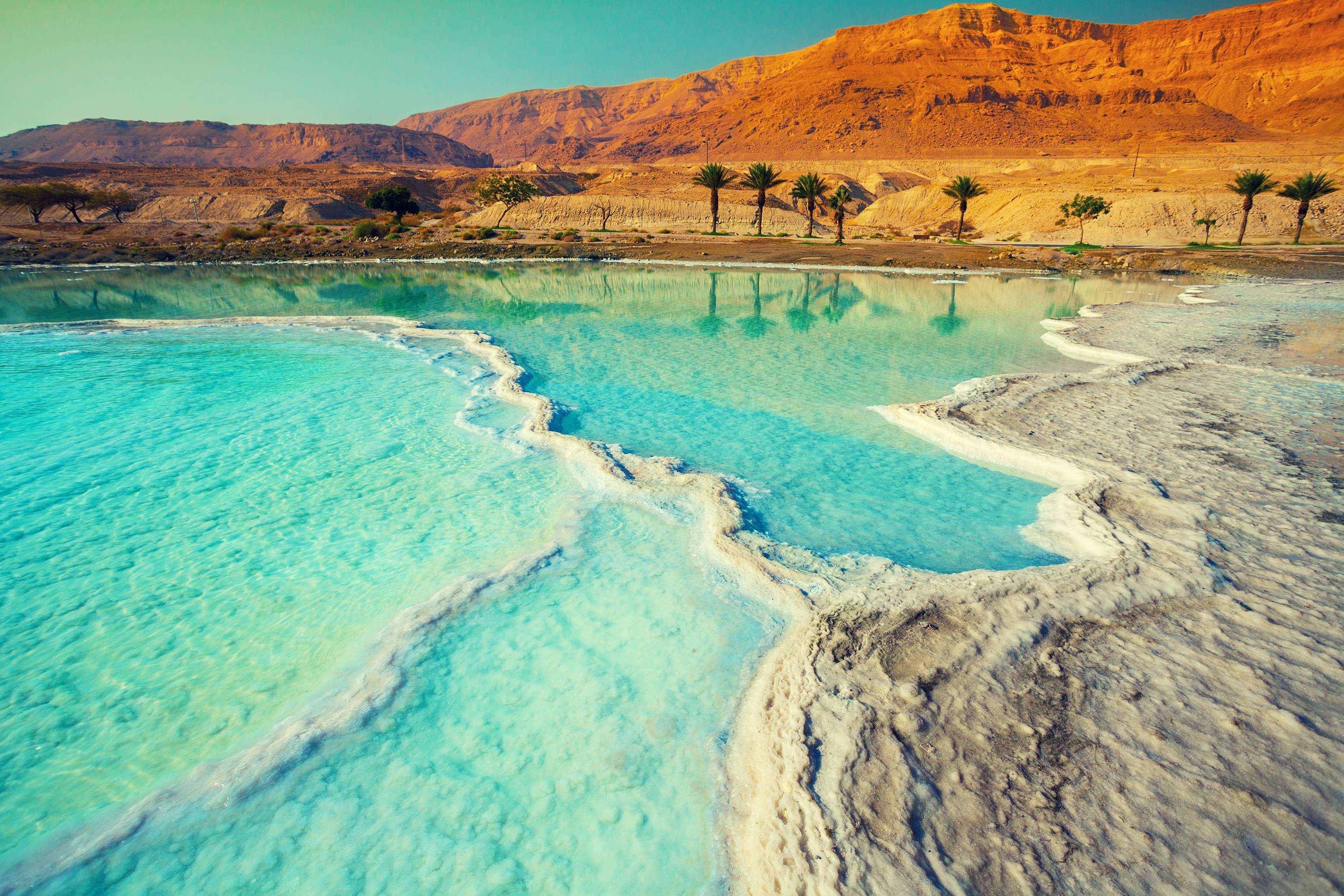 Visit The Dead Sea