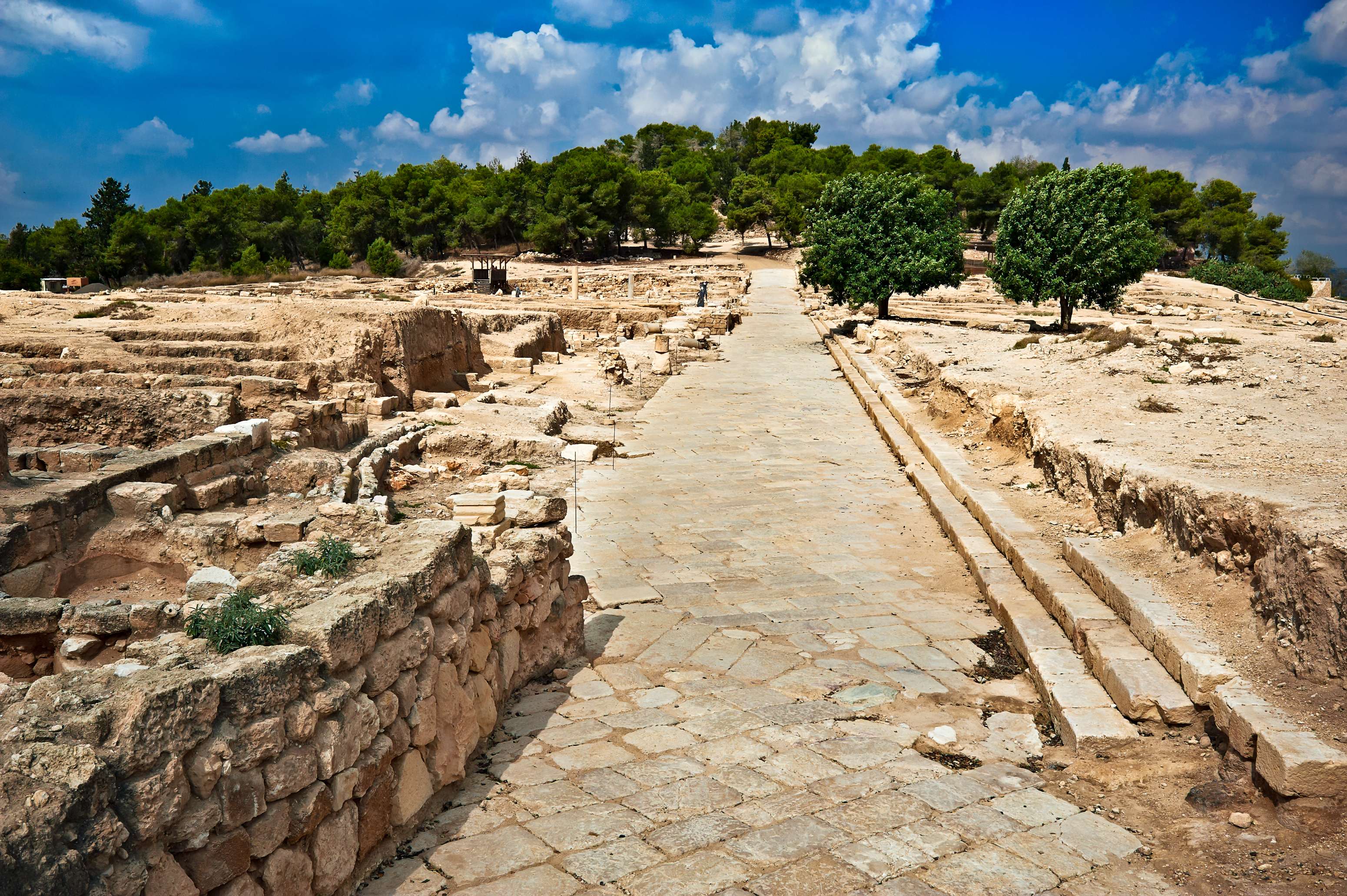 Take a Tour of The Zippori National Park