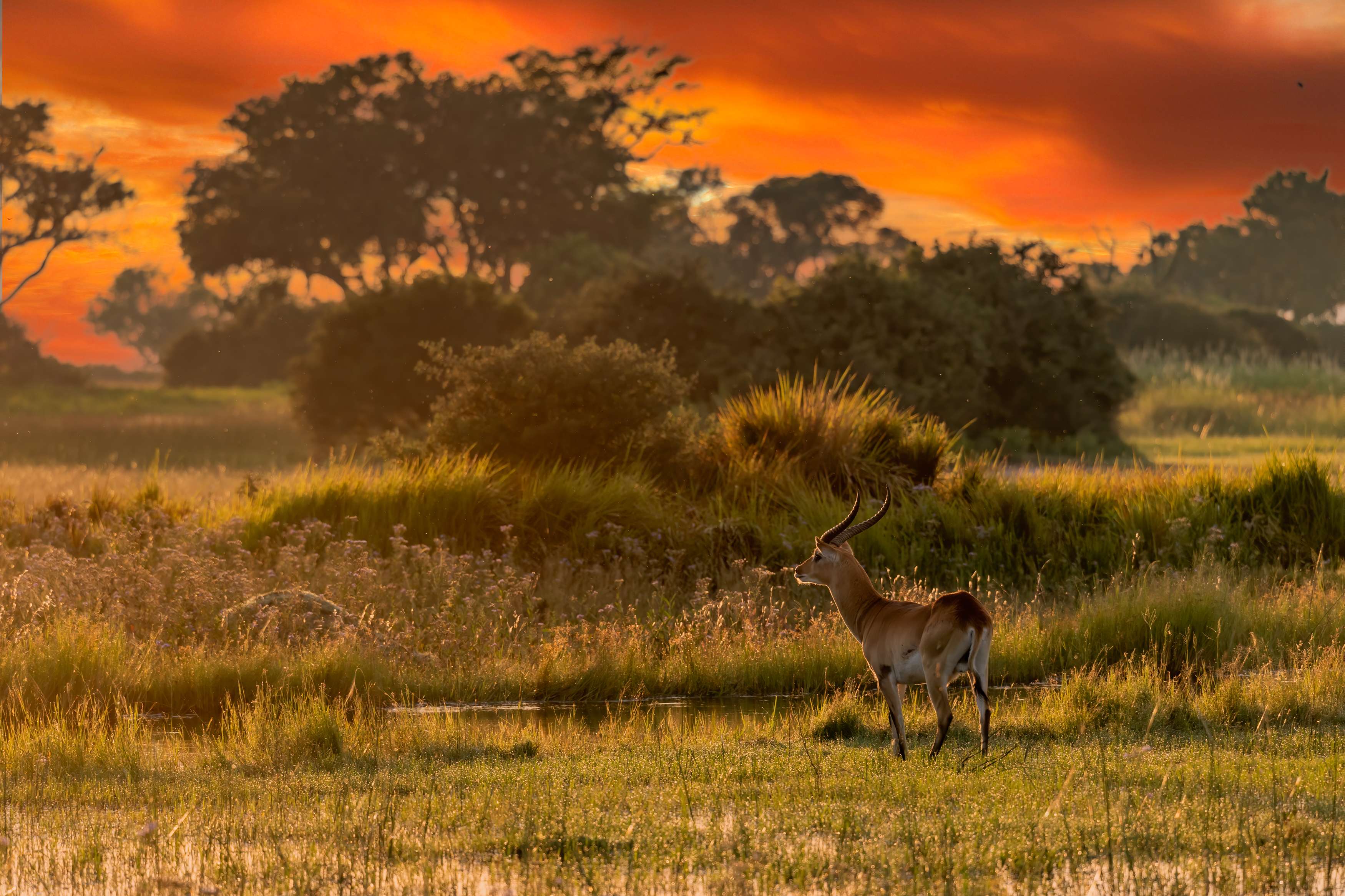Best Time to Visit Kruger National Park