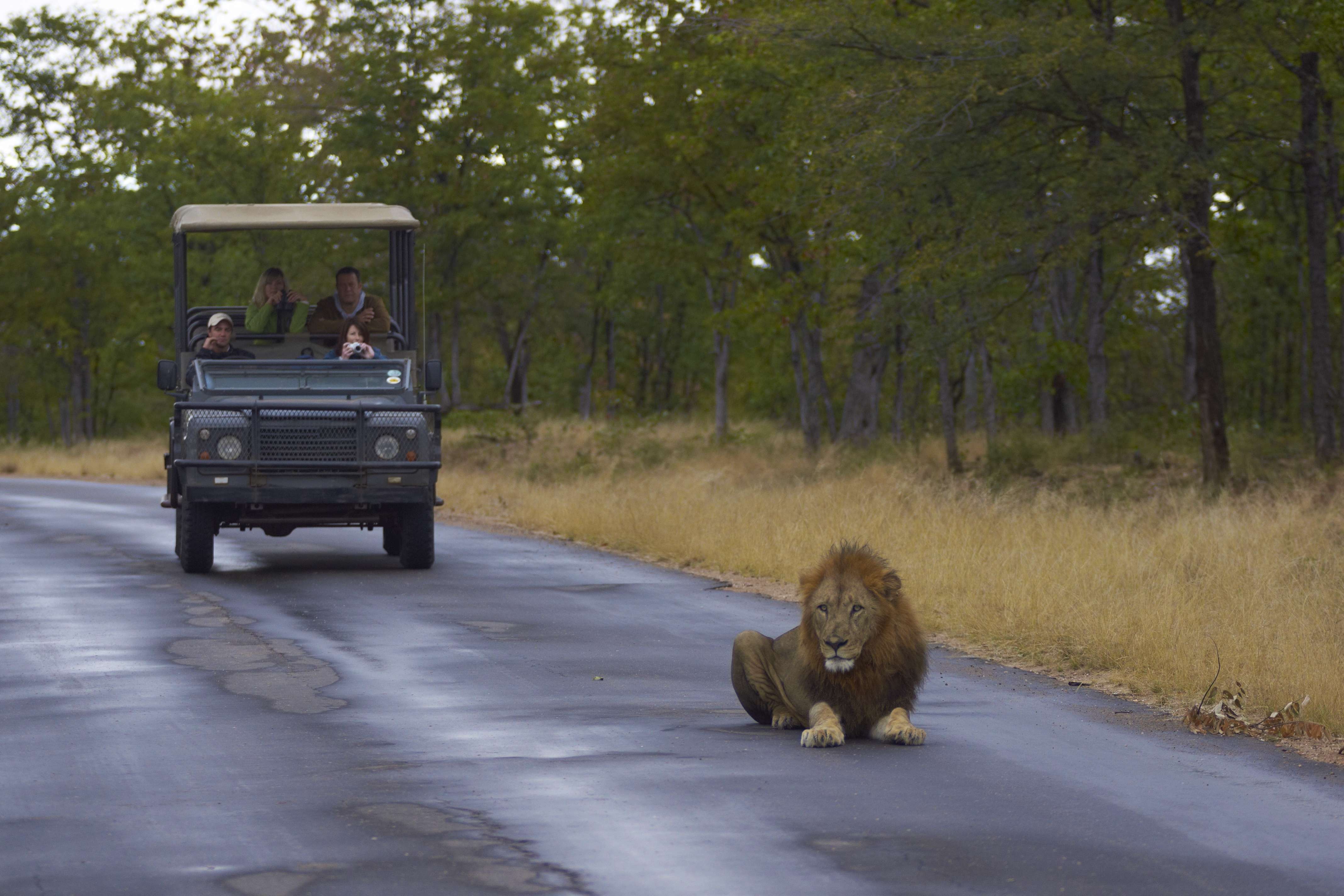 Cost of Safari in Kruger National Park