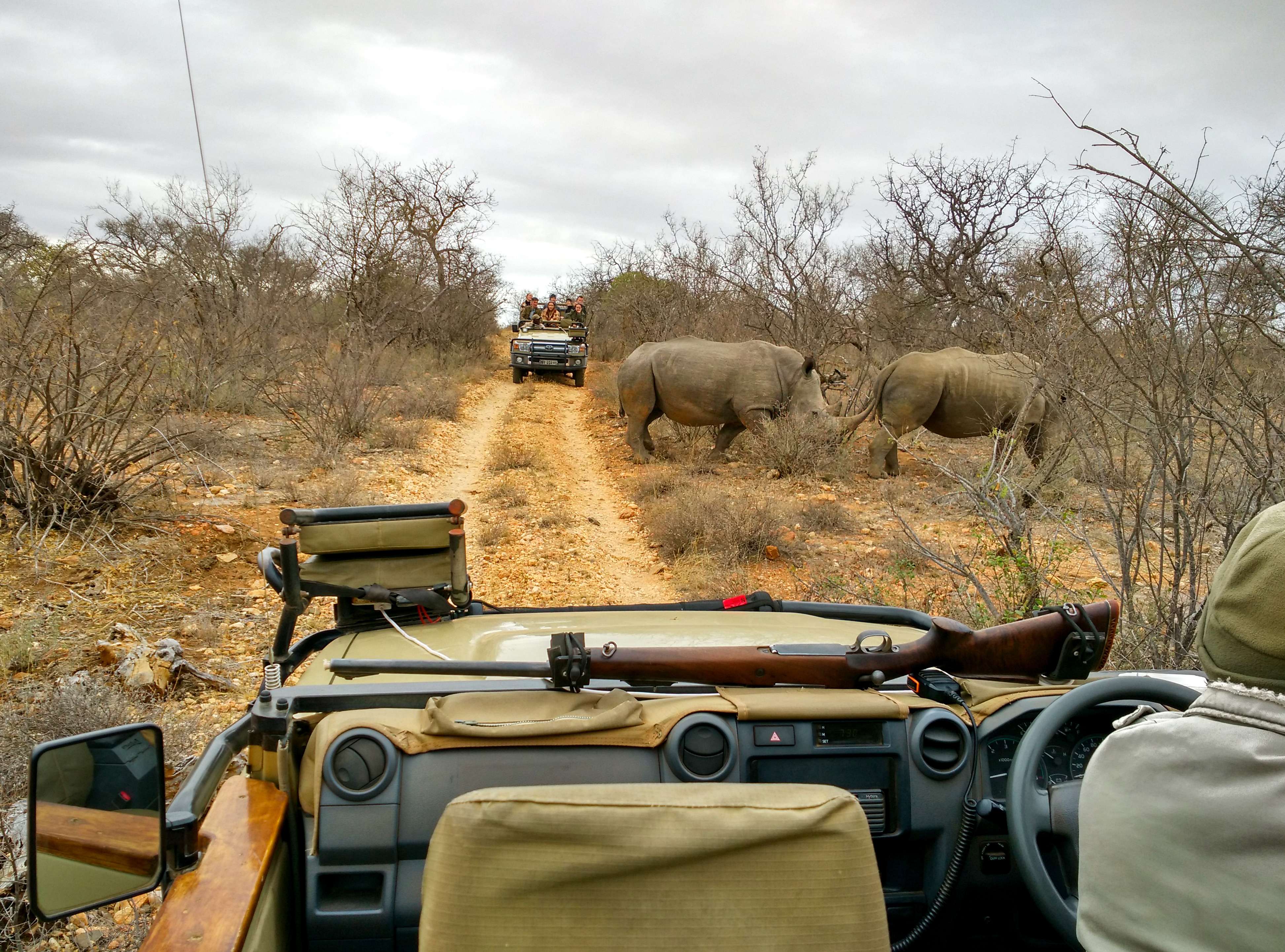 What to pack while visiting Kruger National Park?