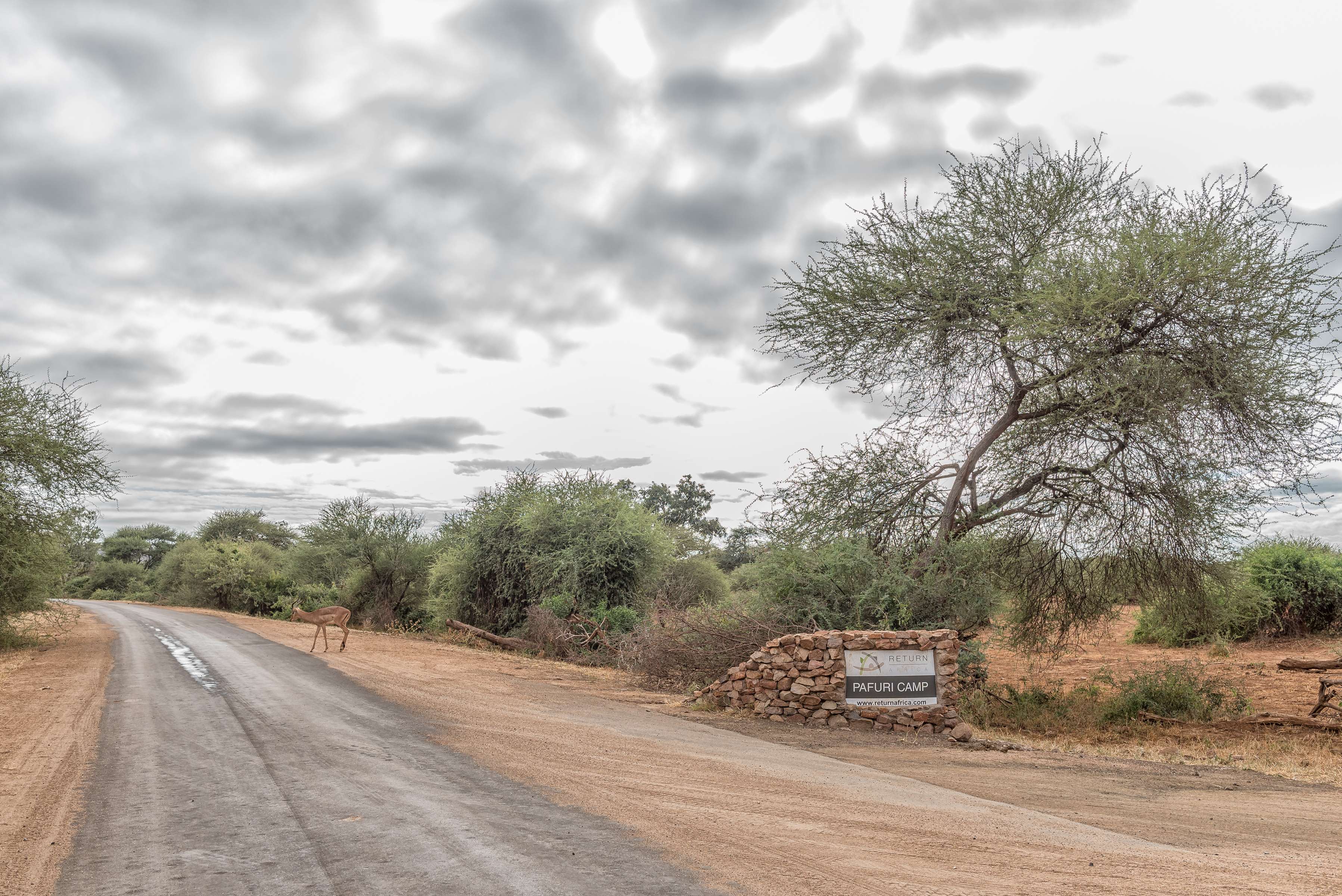 Wildlife Viewing at Pafuri Camp