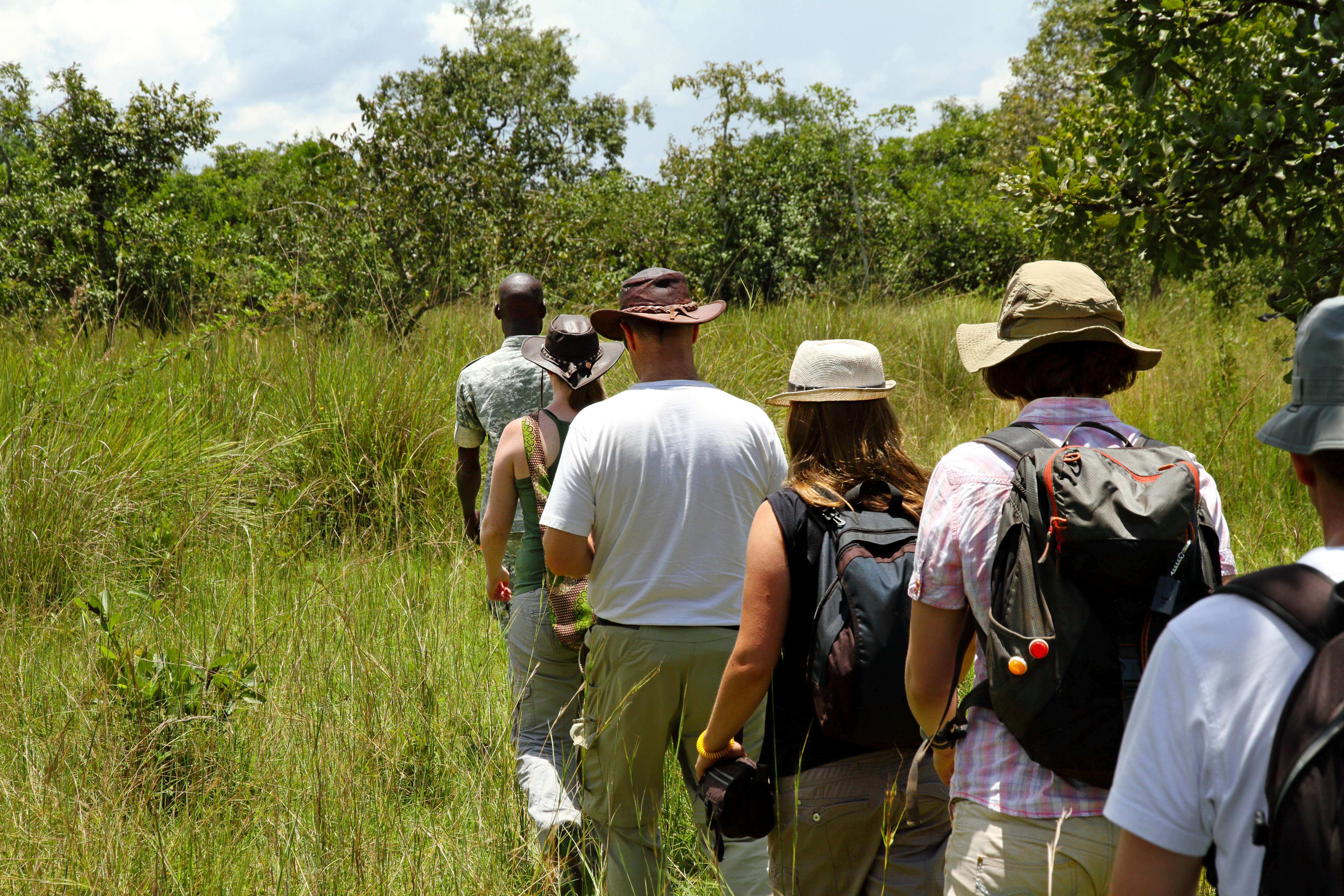 Go for Guided Bush Walks