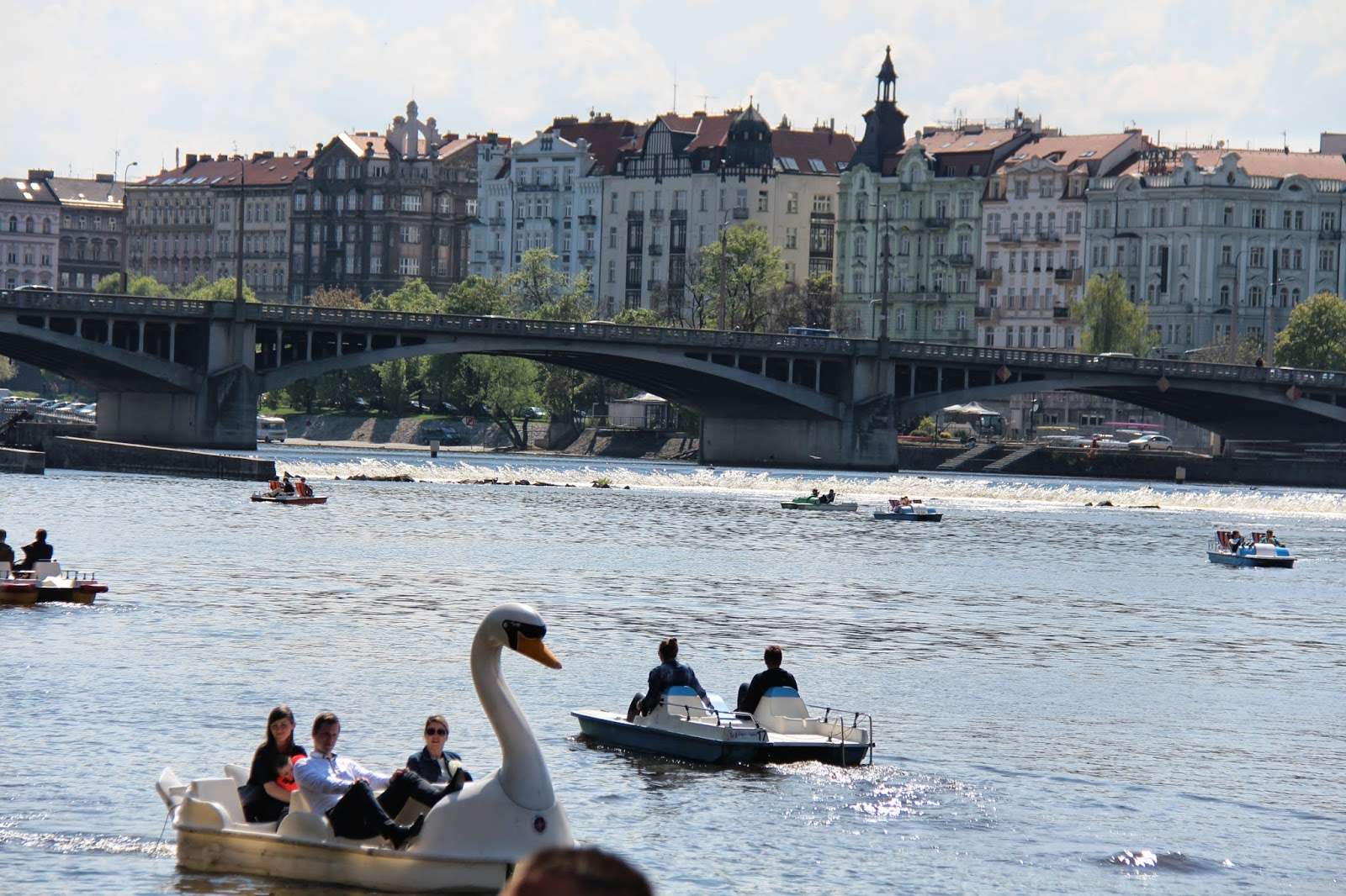 Paddle Boating Along The Vltava