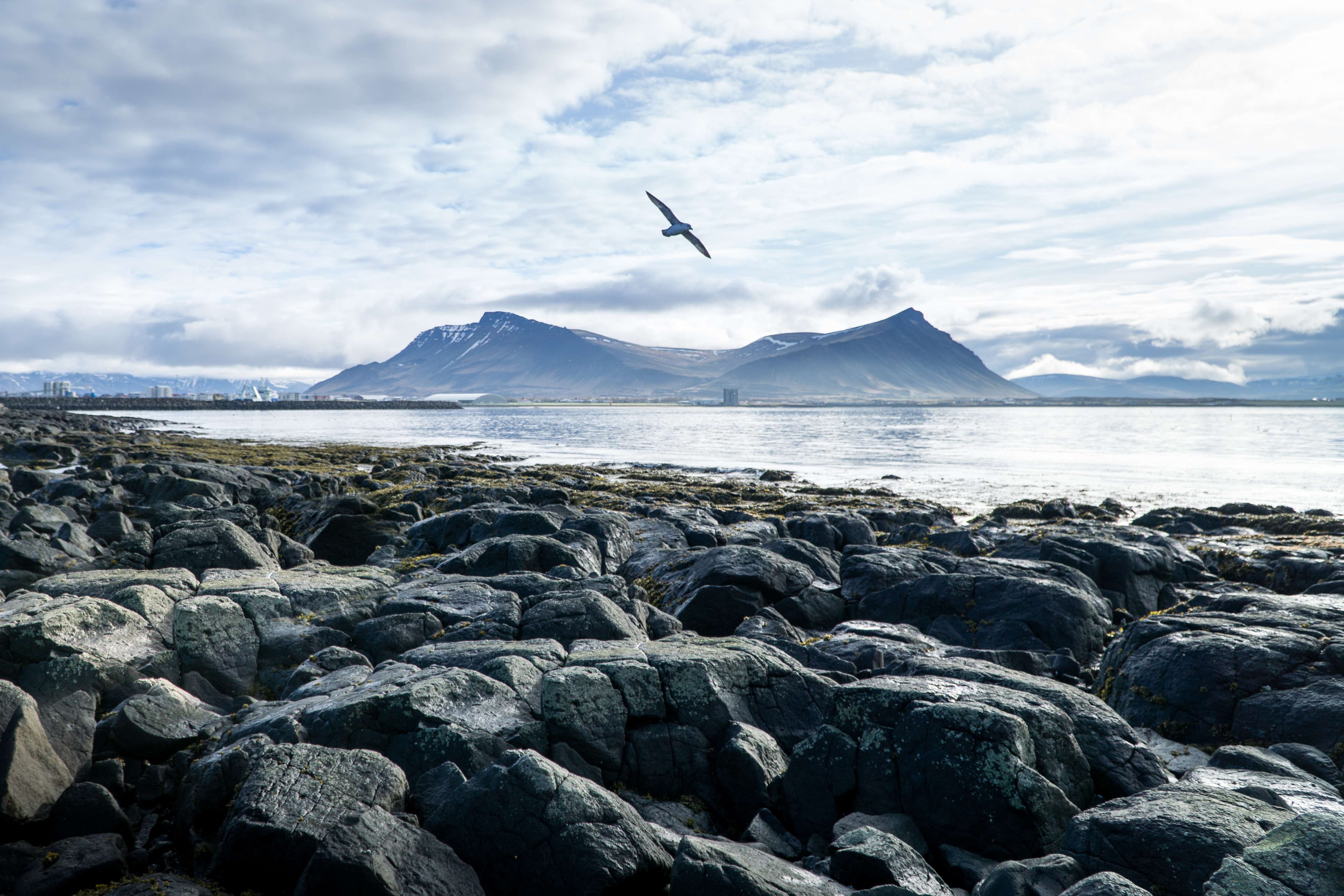 1618925508 shutterstock 1088982938