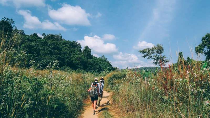 Trek to Cardamom Mountains