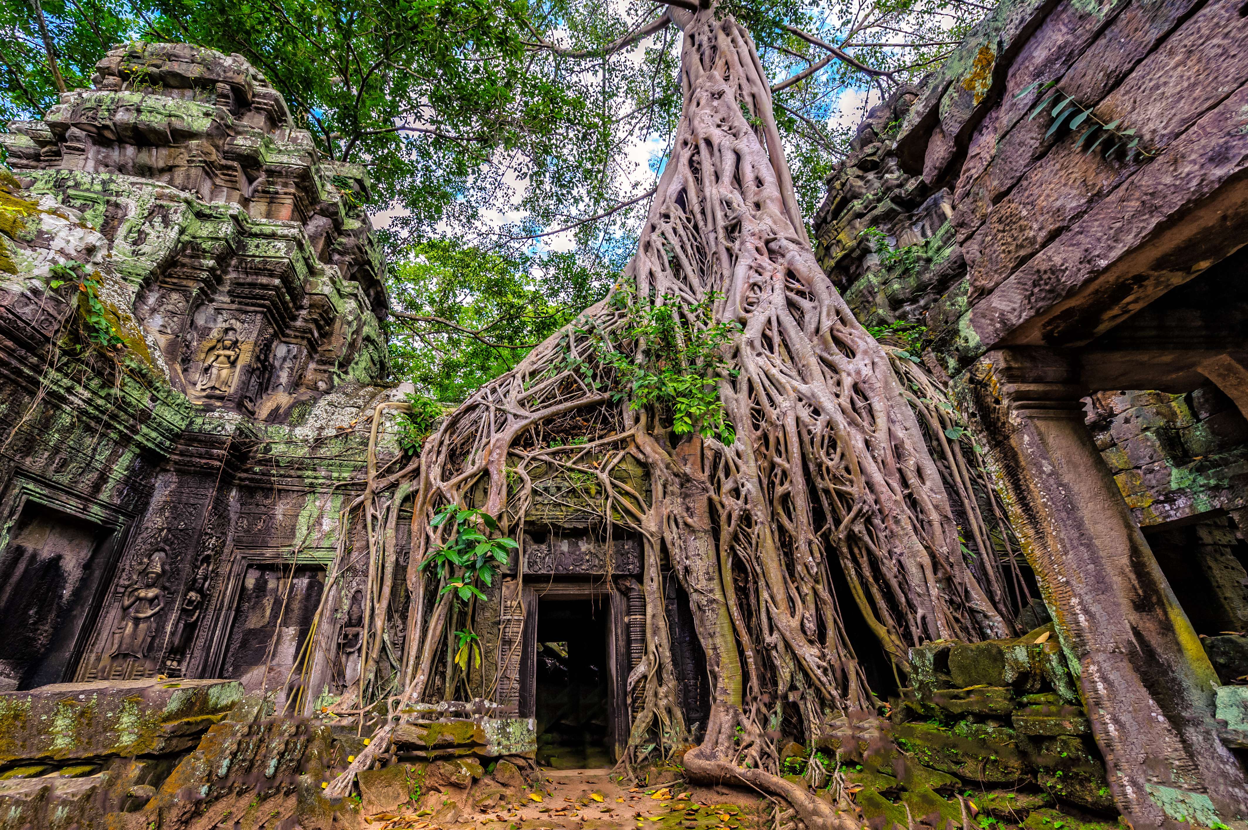 Pay a Visit to Ta Prohm