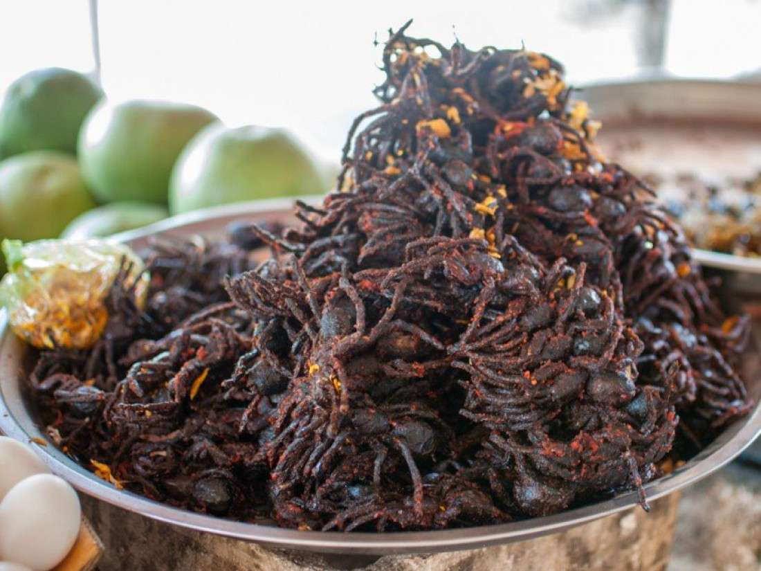 Try out The Cambodian Creepy-Crawly Diet