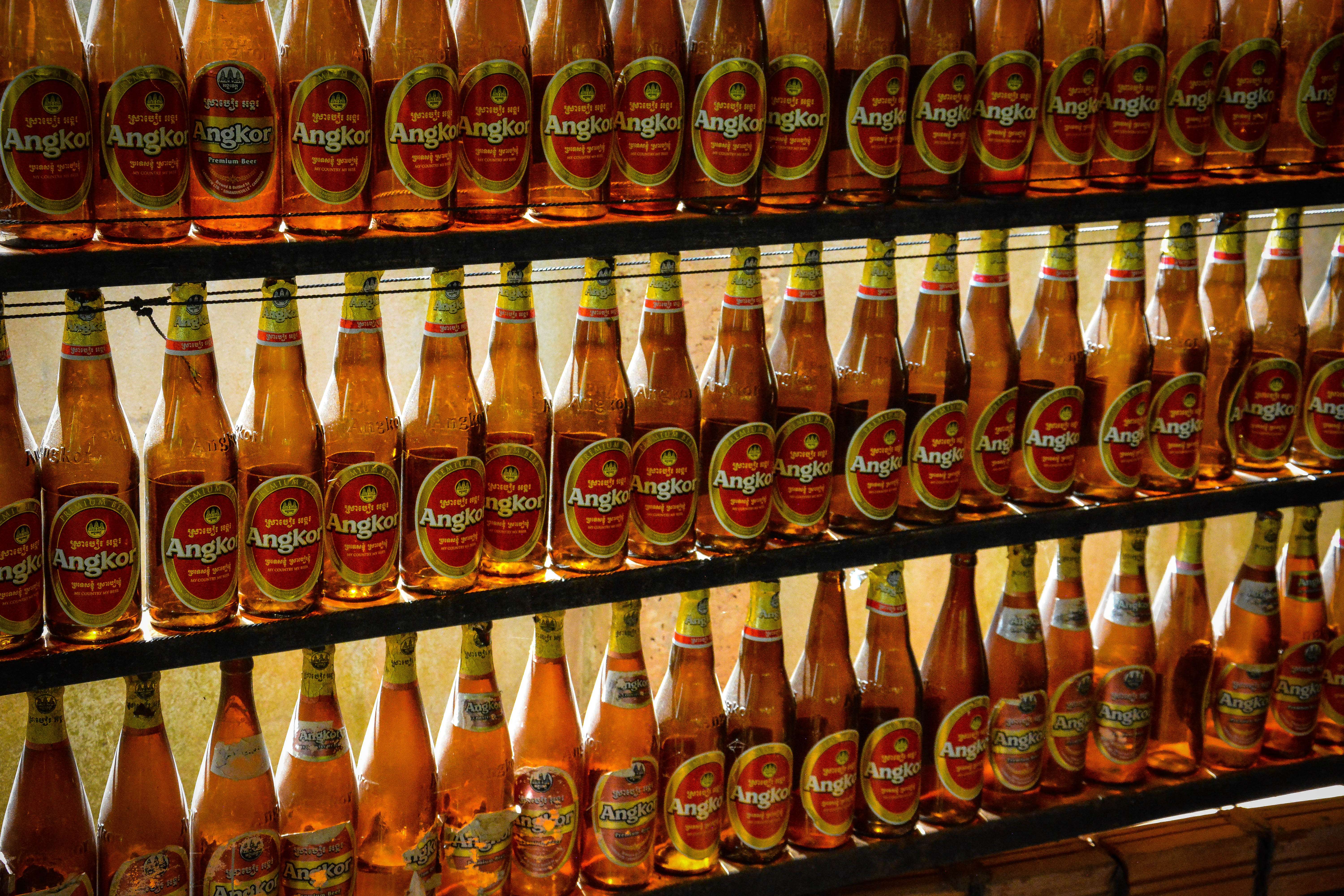 Drink Beers with Locals