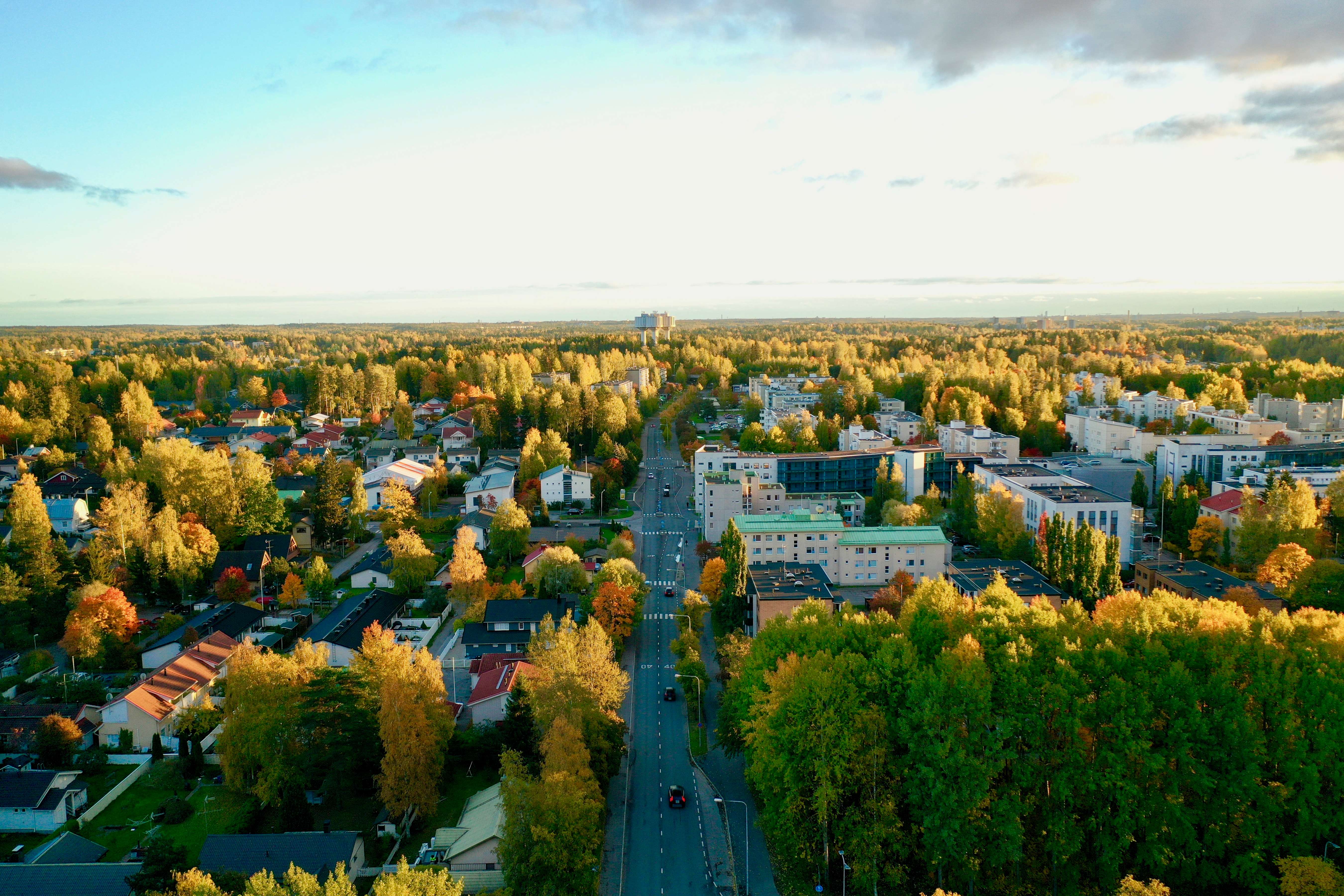 1619156703 shutterstock 1521386219