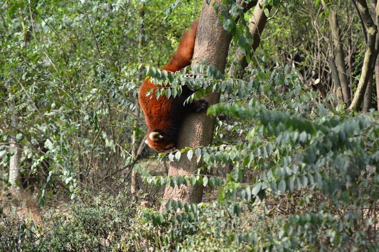 Pant Wildlife Sanctuary