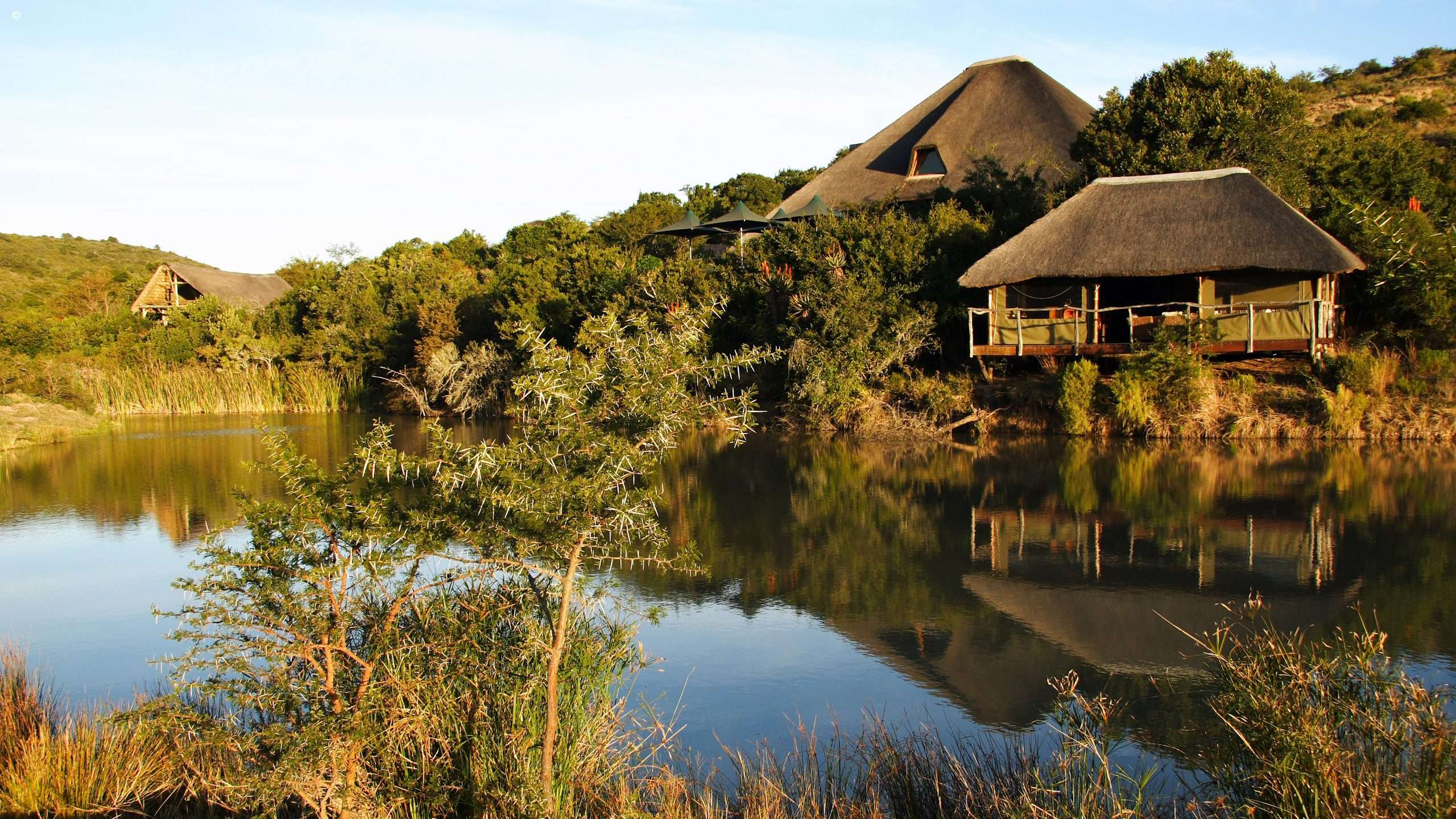 Shamwari Private Game Reserve