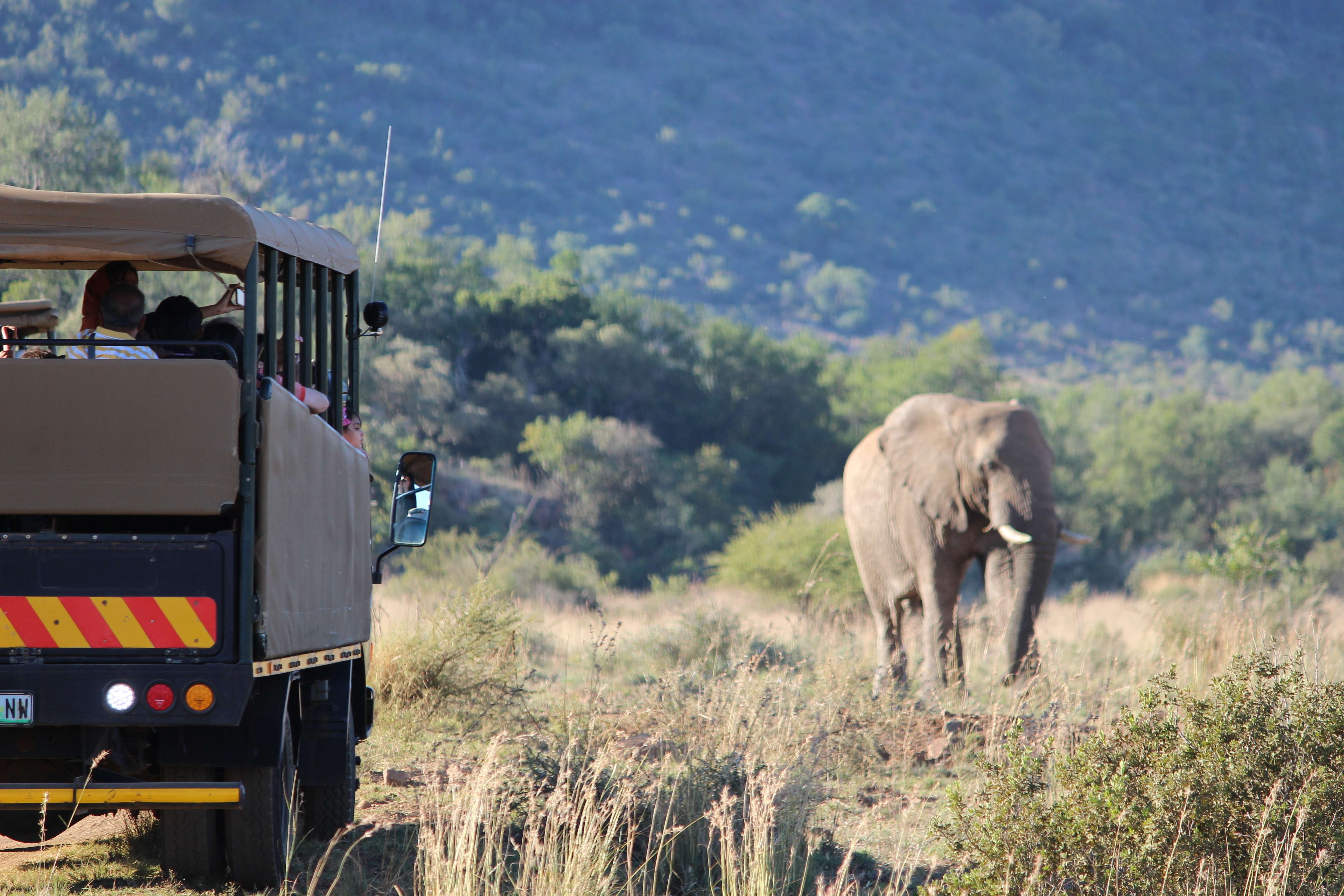 Pilanesberg National Park