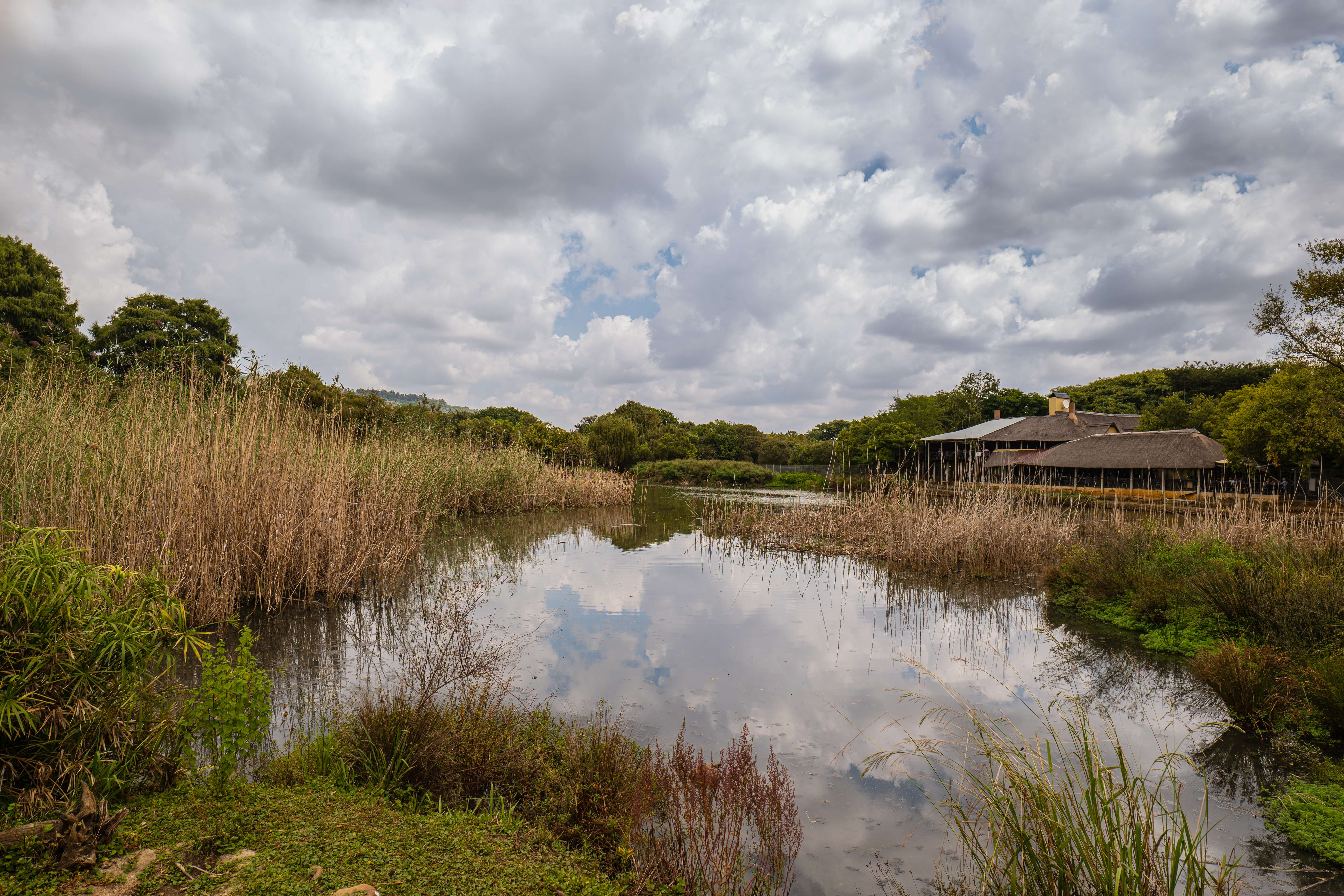 Austin Roberts Bird Sanctuary