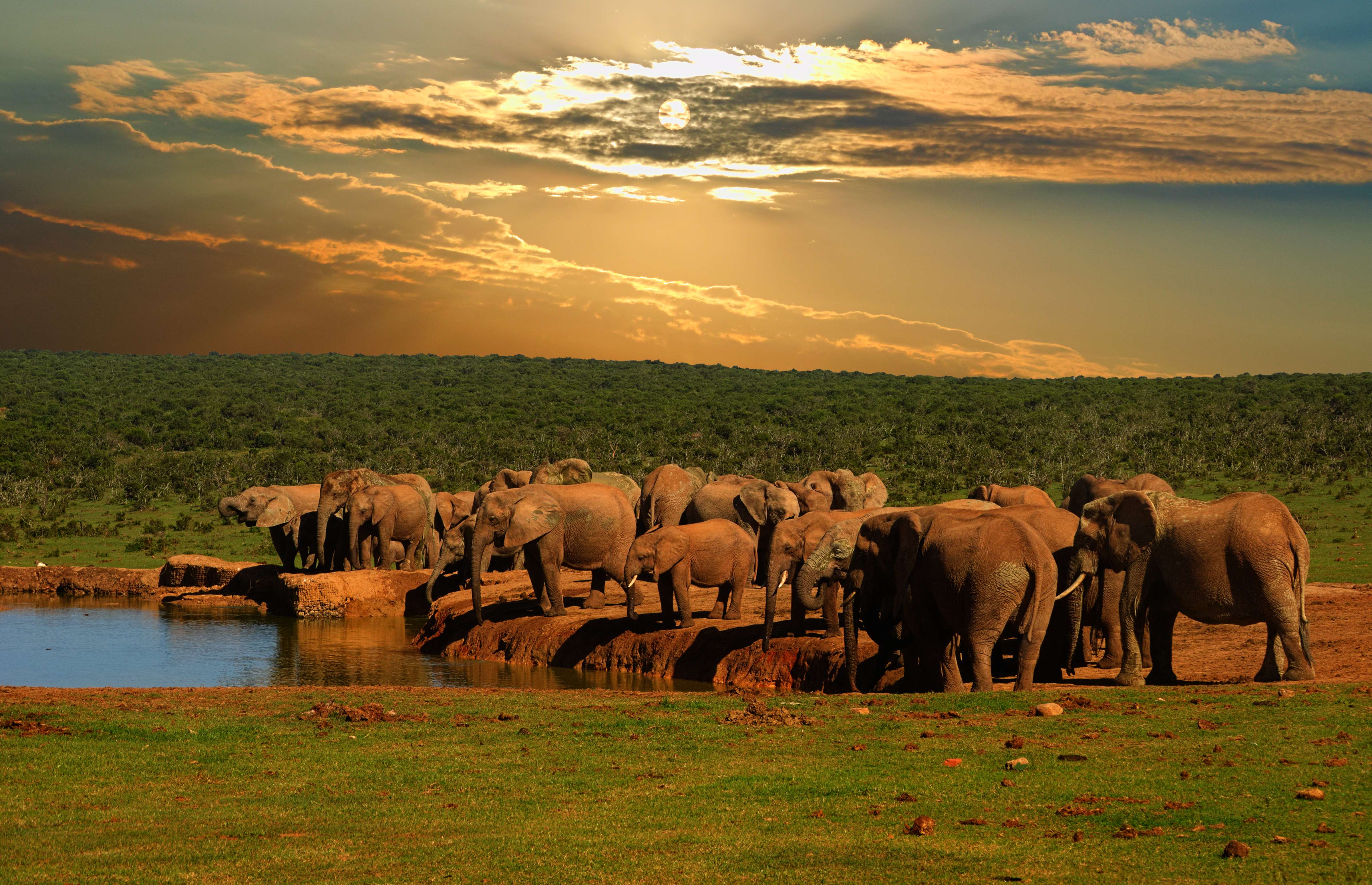 Addo National Park