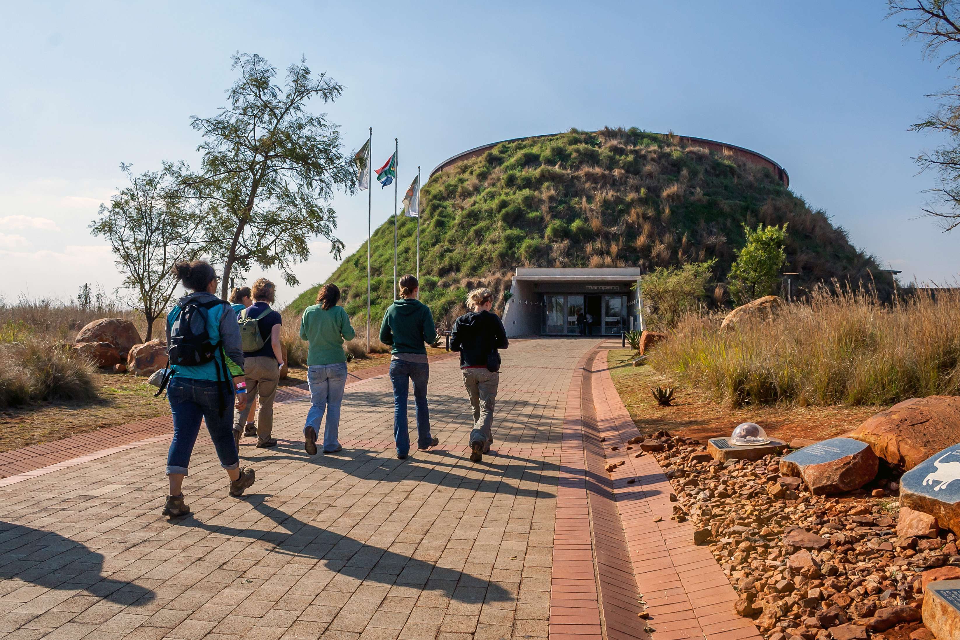The Cradle of Humankind
