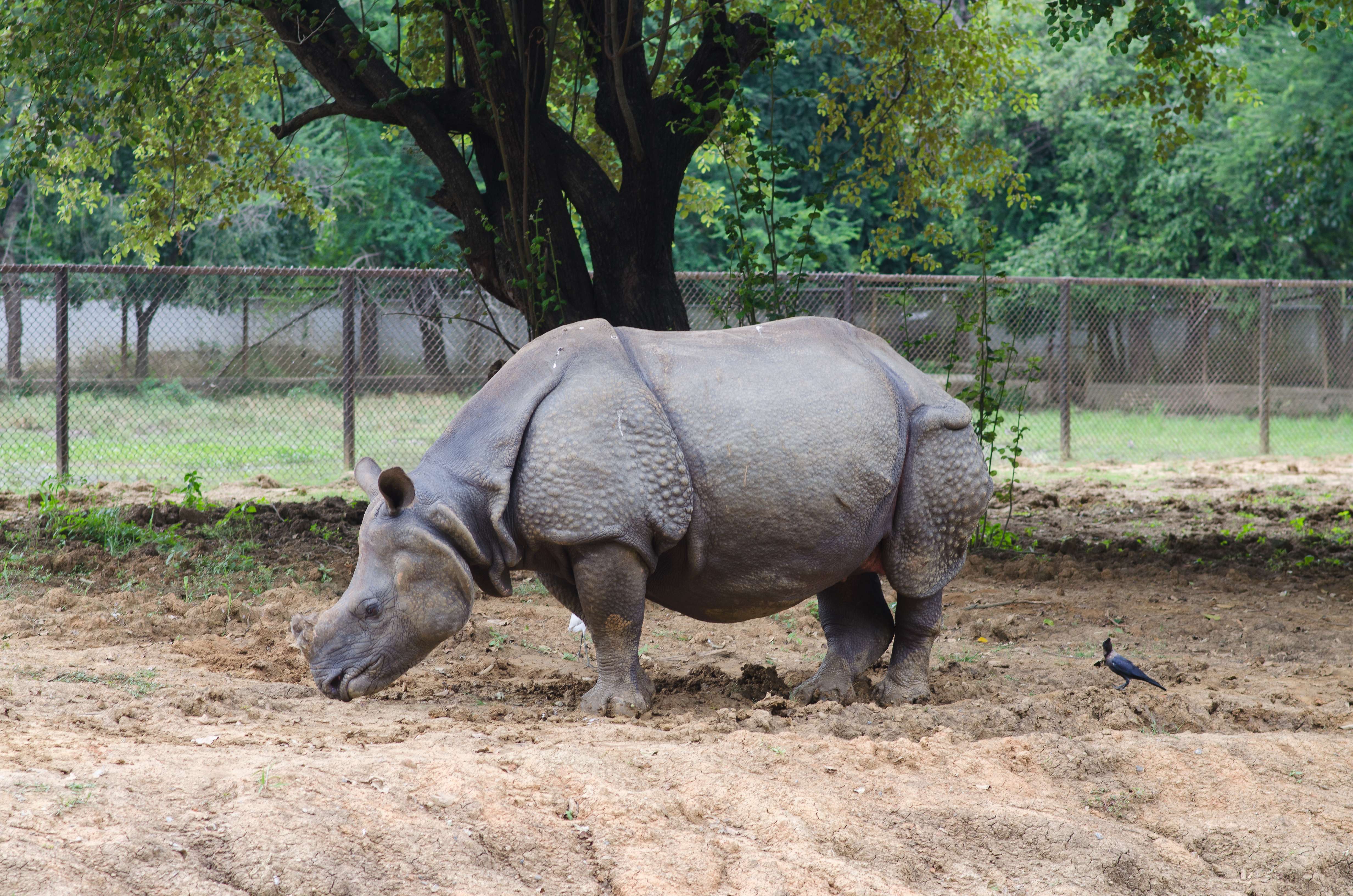 15 Best Places to Experience Wildlife in Bihar