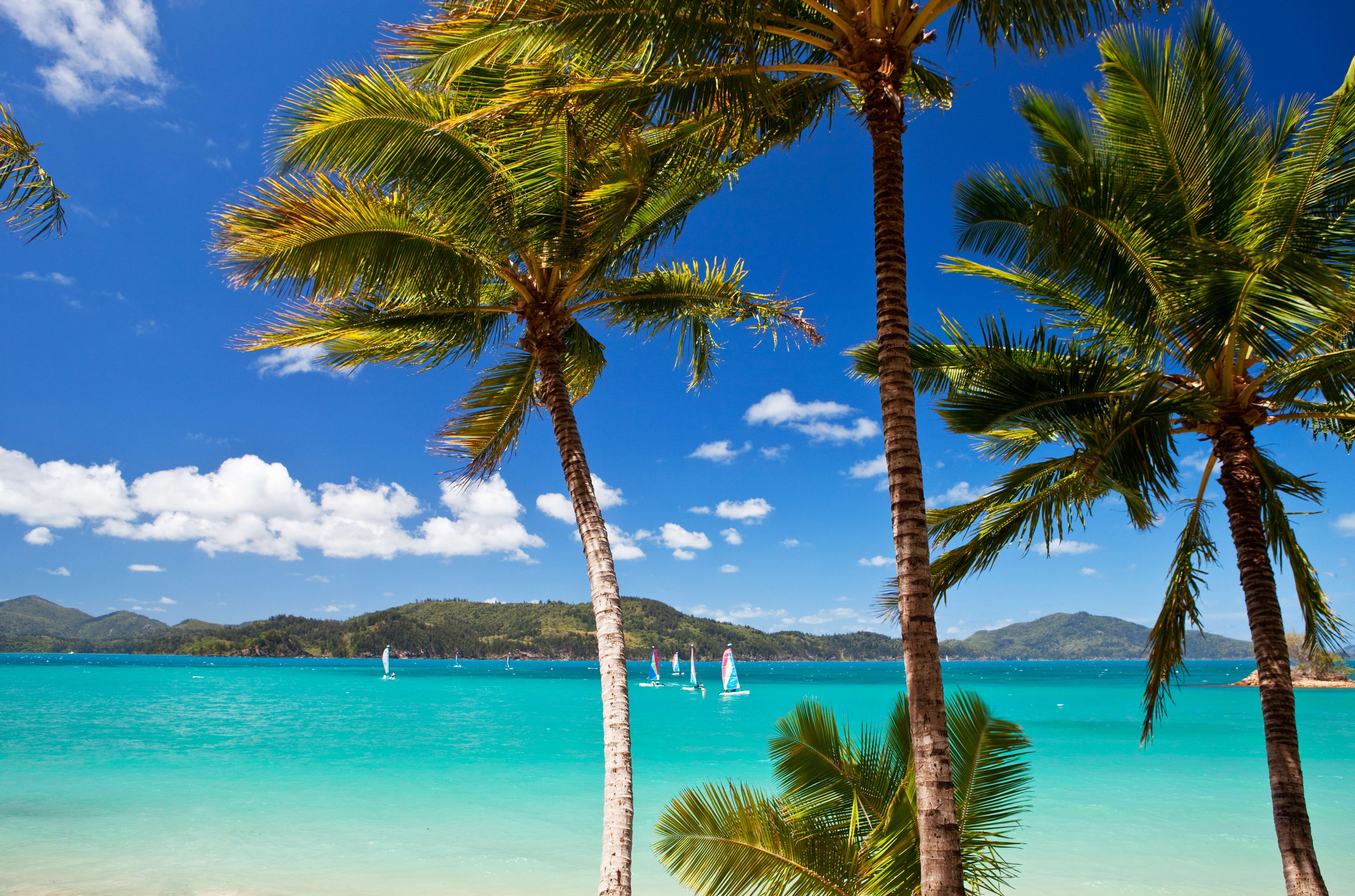 Go for a swim at Catseye Beach