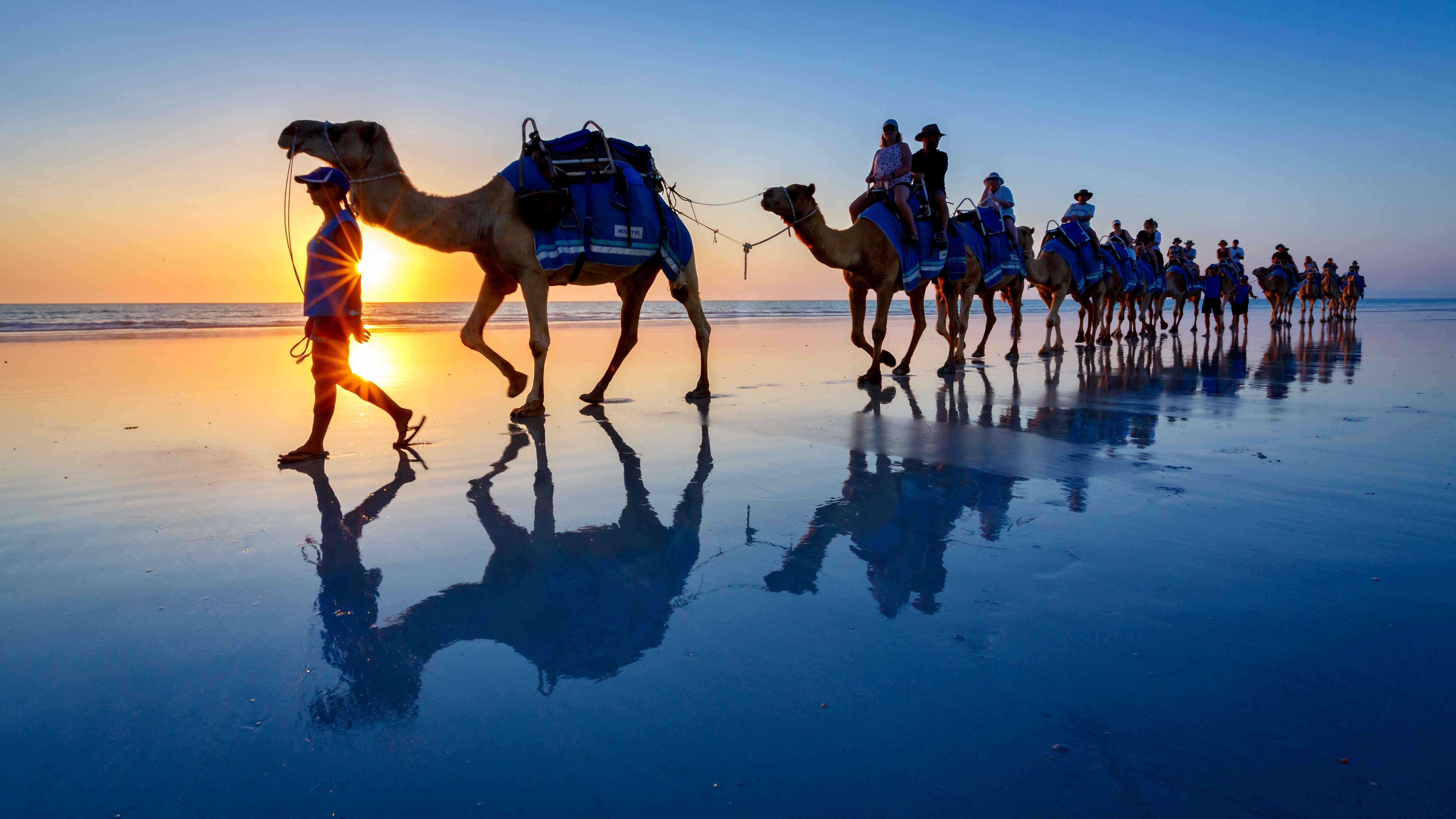 Take a Camel Ride on Cable Beach