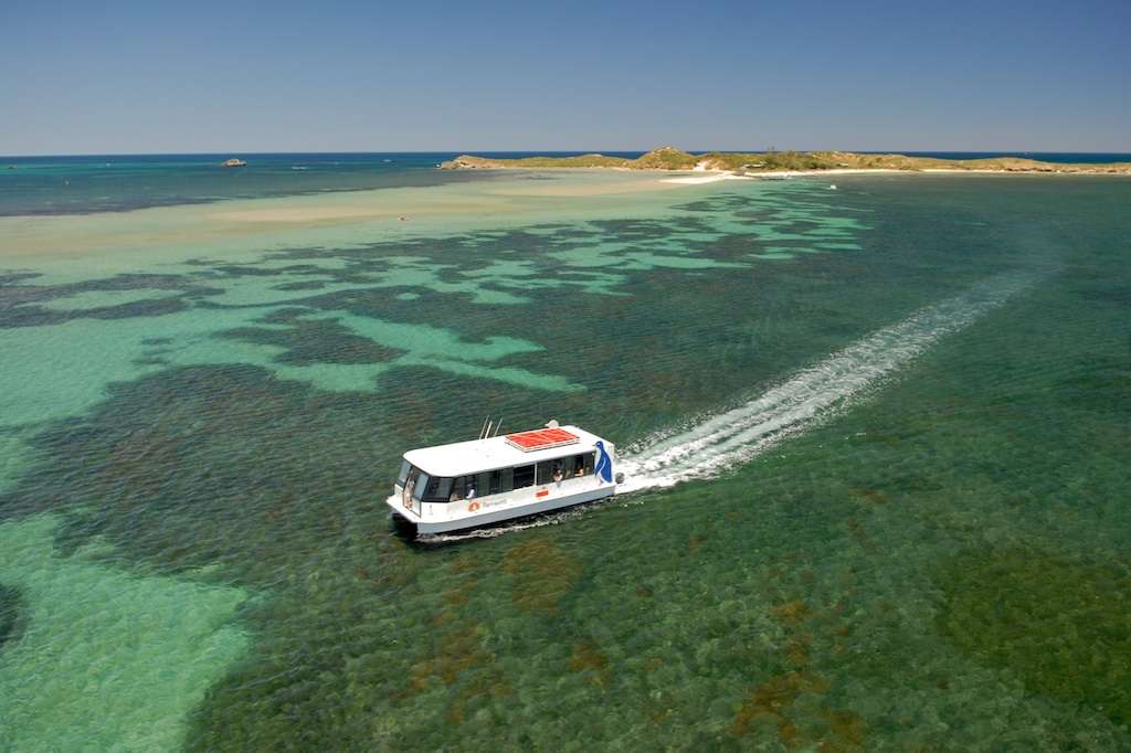 Take a Ferry to Penguin Island Tour