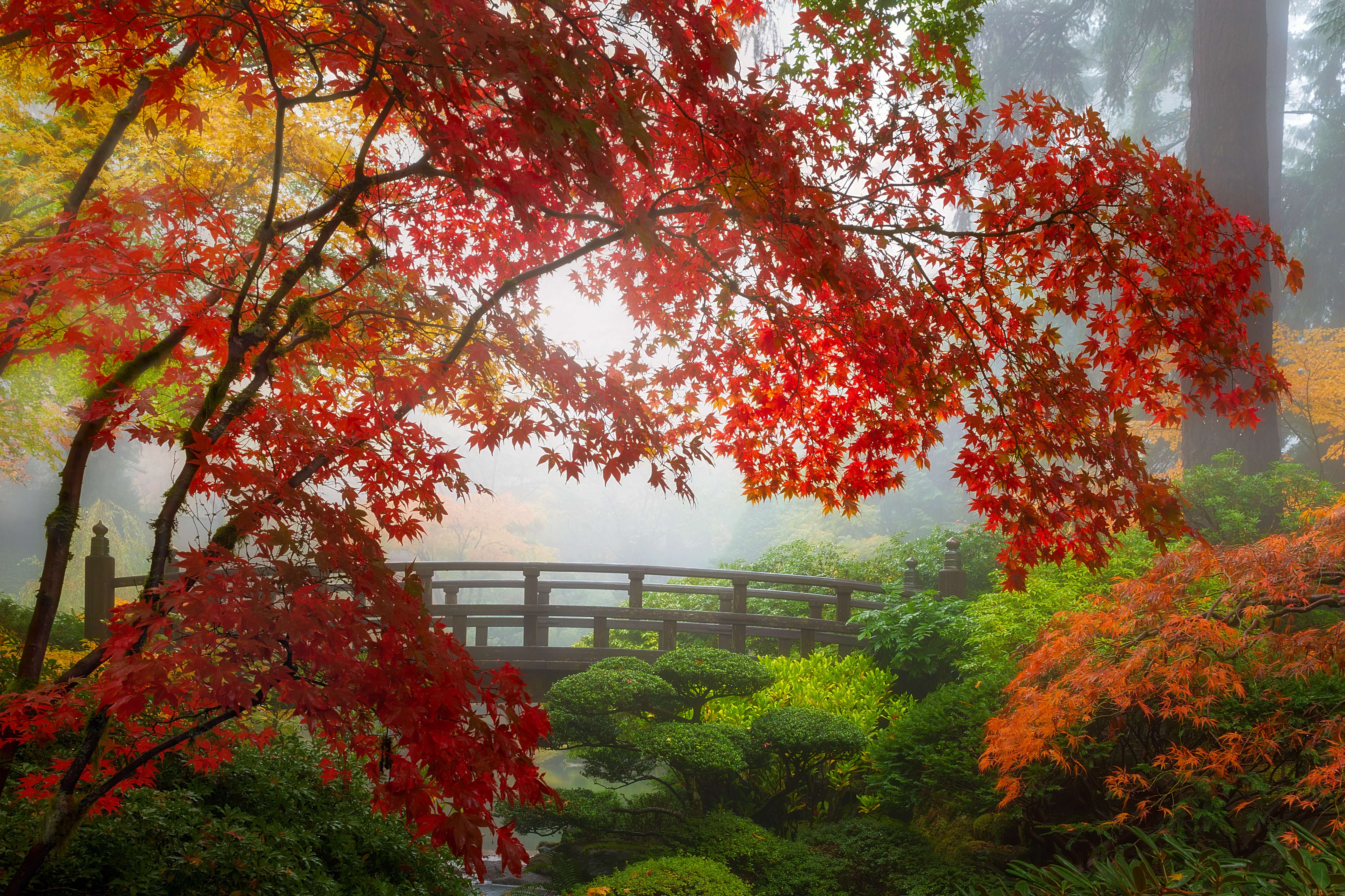 Portland Botanical Gardens