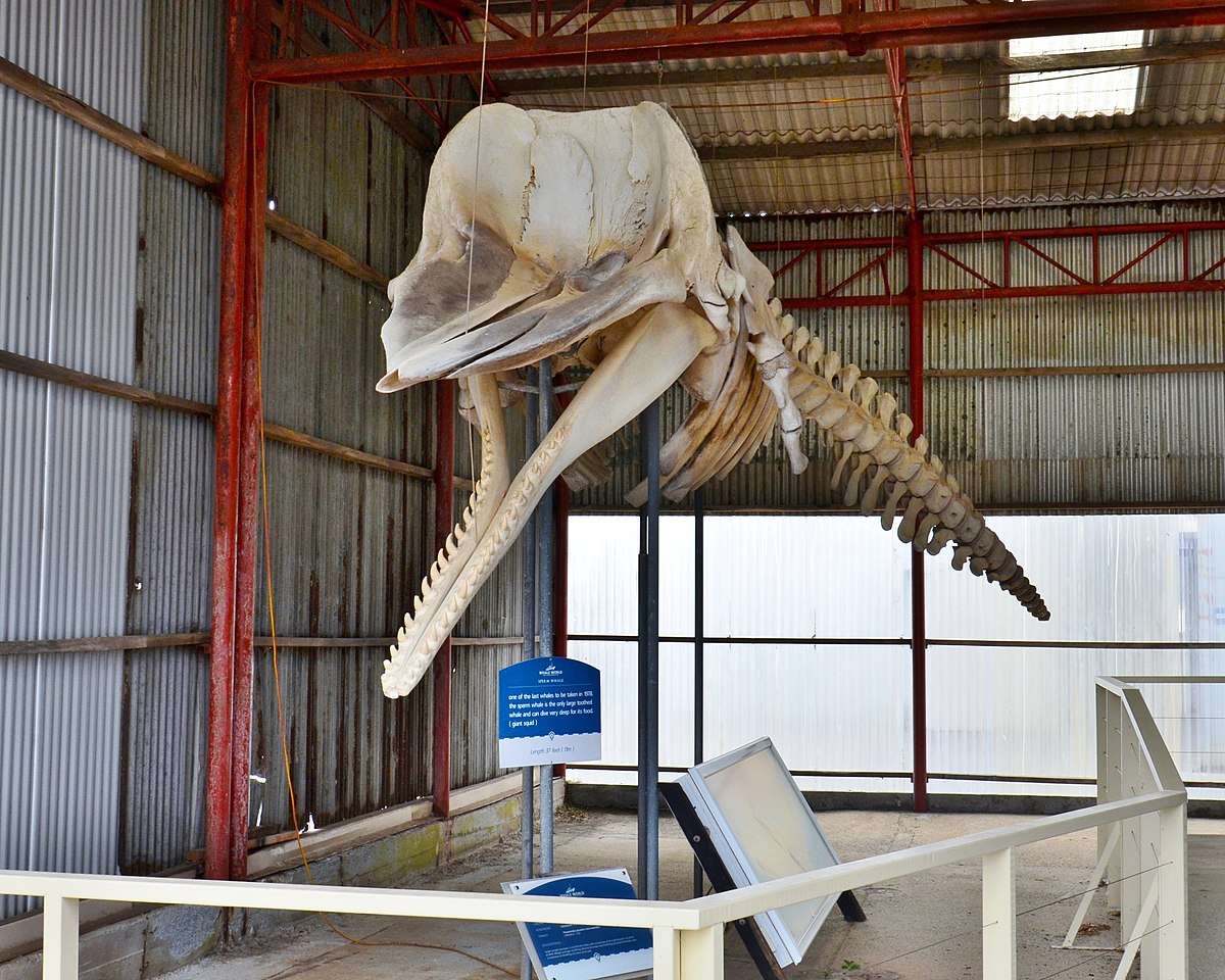 Portland Maritime Discovery Centre