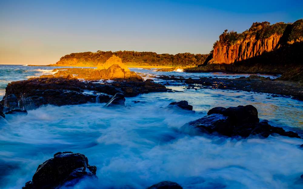 Discover The Beautiful Wildlife in Kiama
