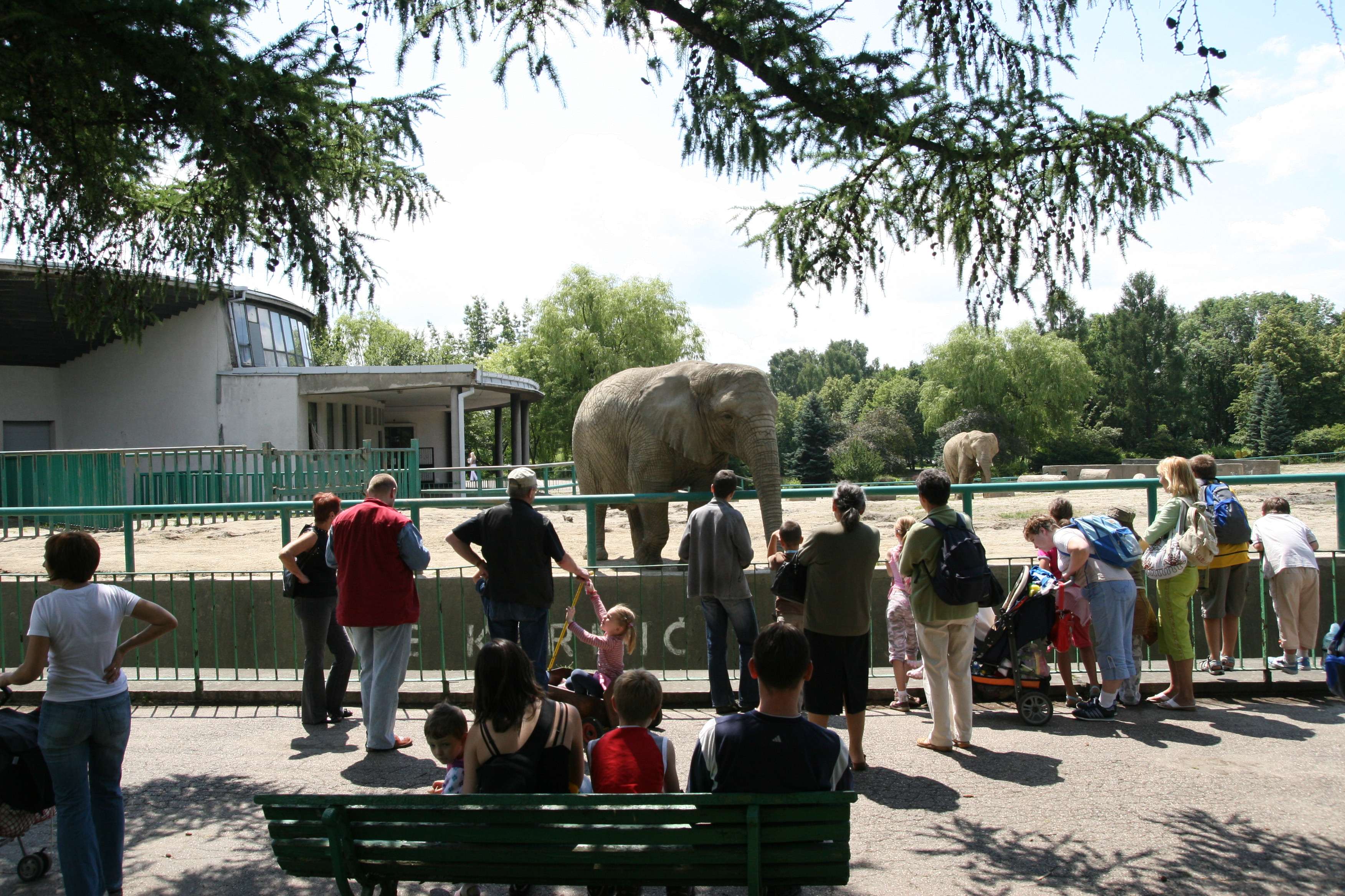 Spend a Day at Australia Zoo