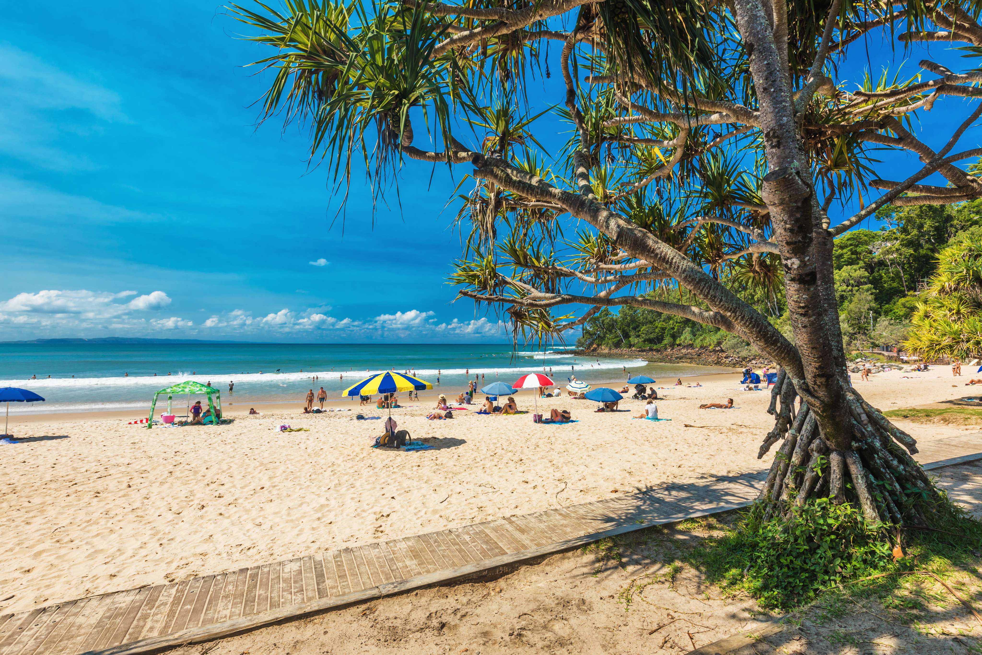 Enjoy at Noosa Main Beach