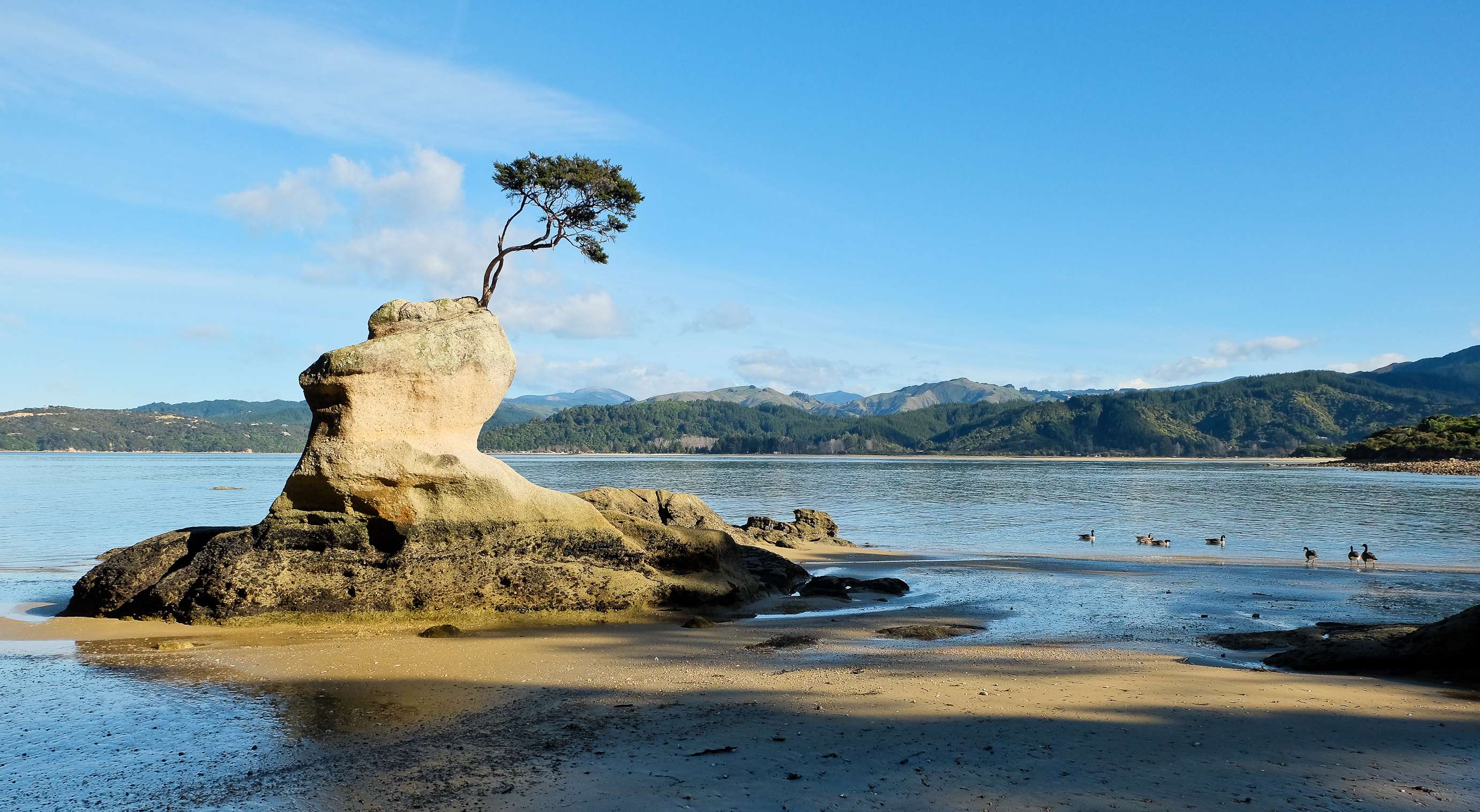 Explore the Great Sandy National Park