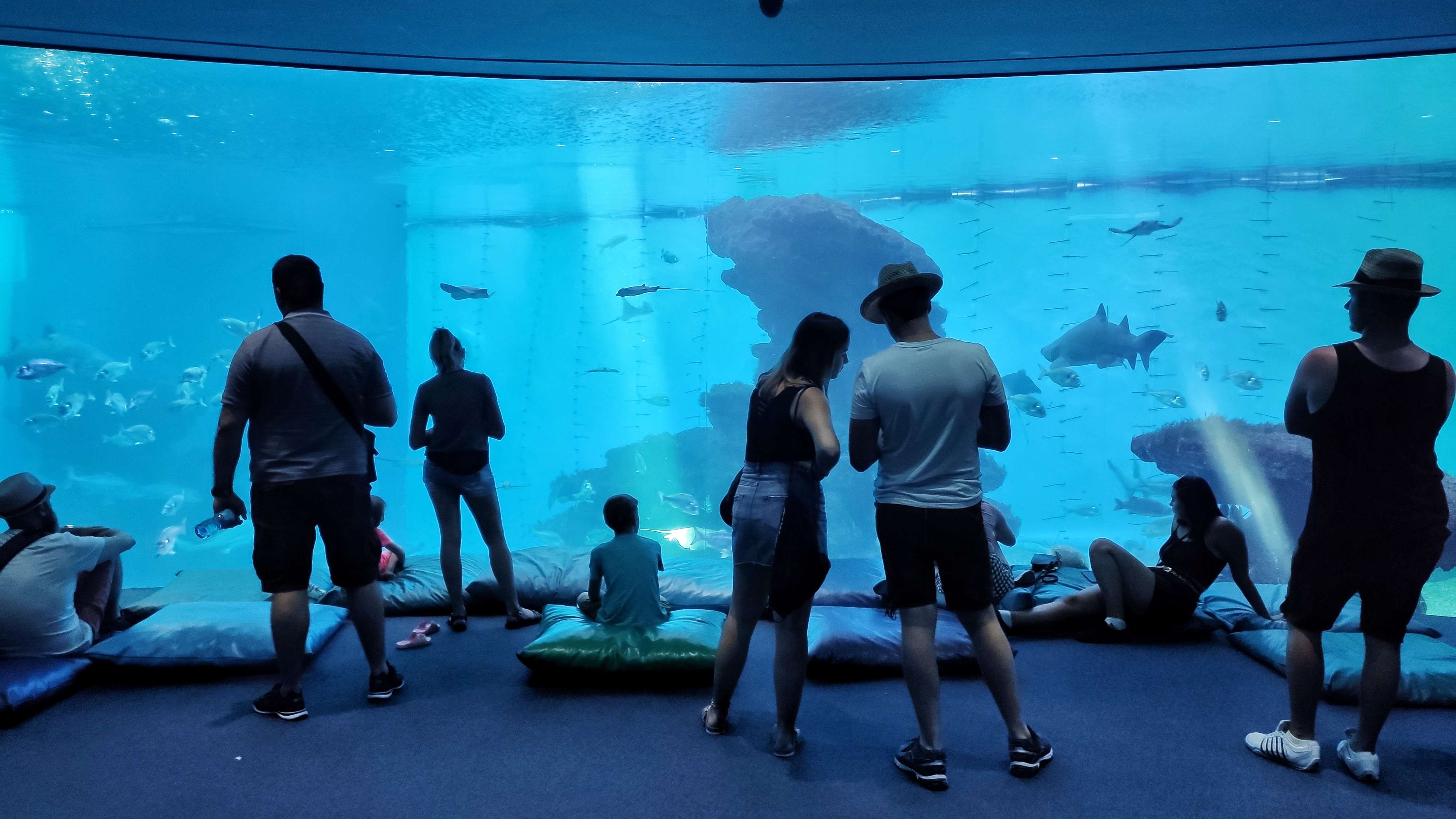 Visit Underwater World Sea Life