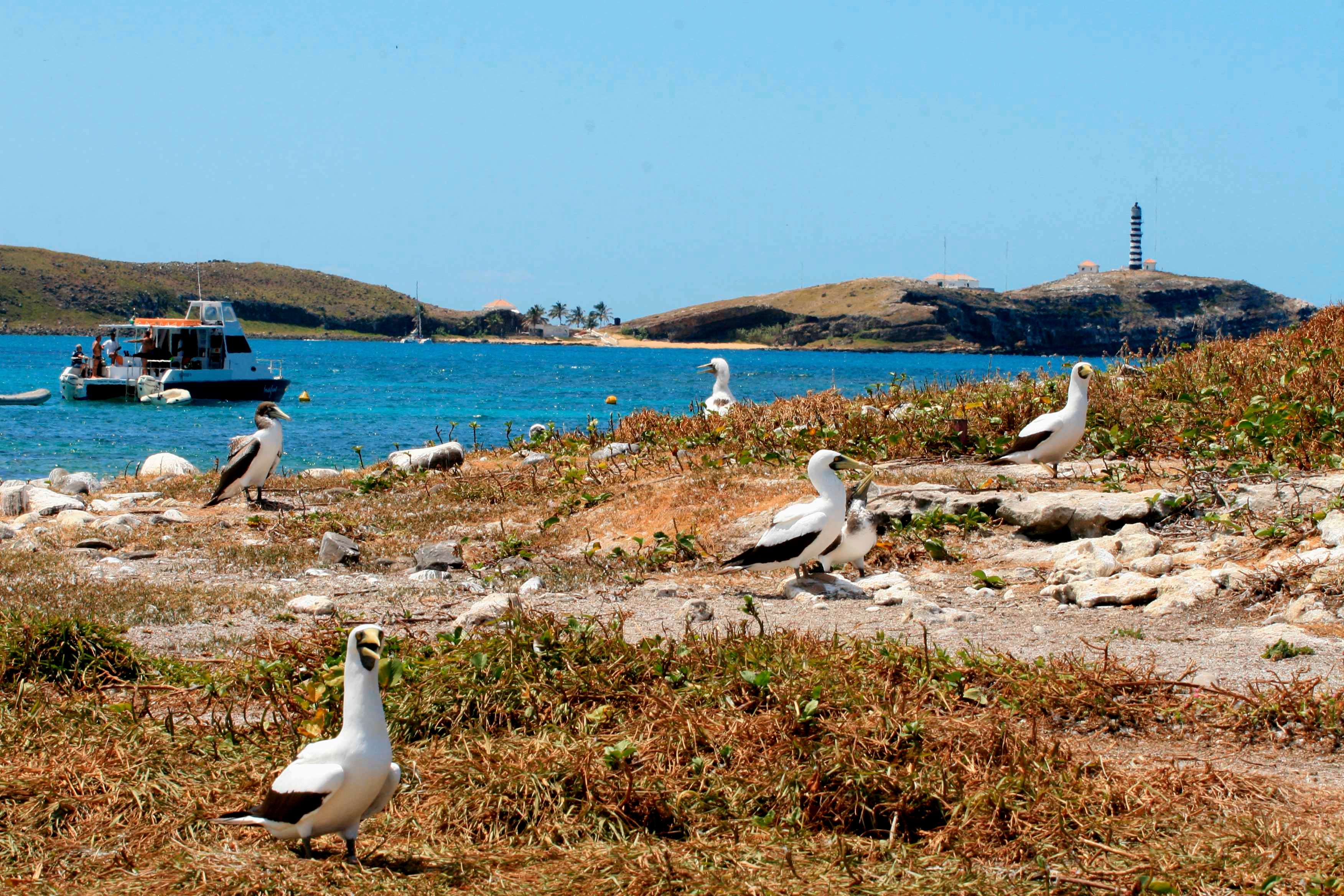 Visit the Sea Life Sanctuary