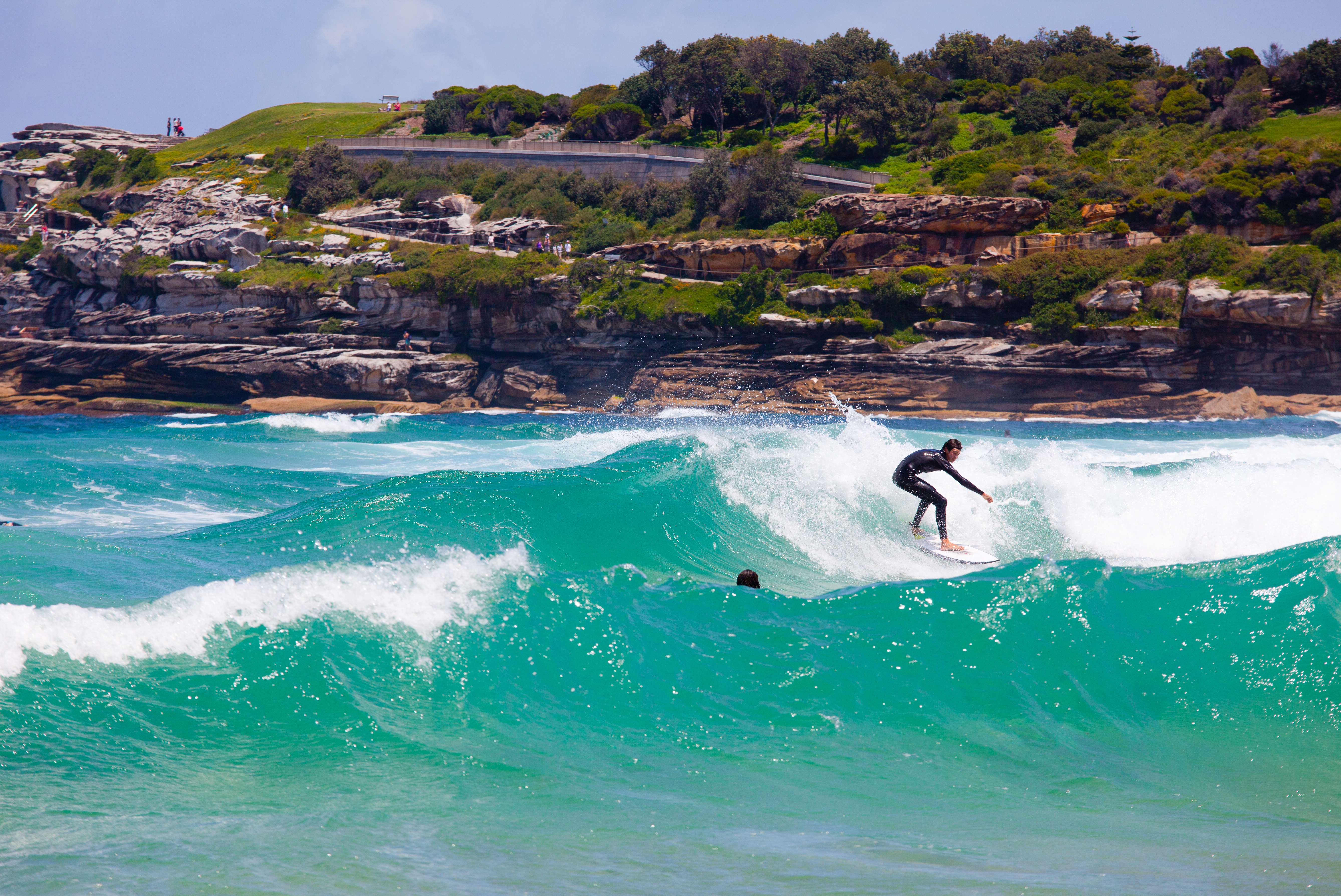 Surfing at Bondi Beach