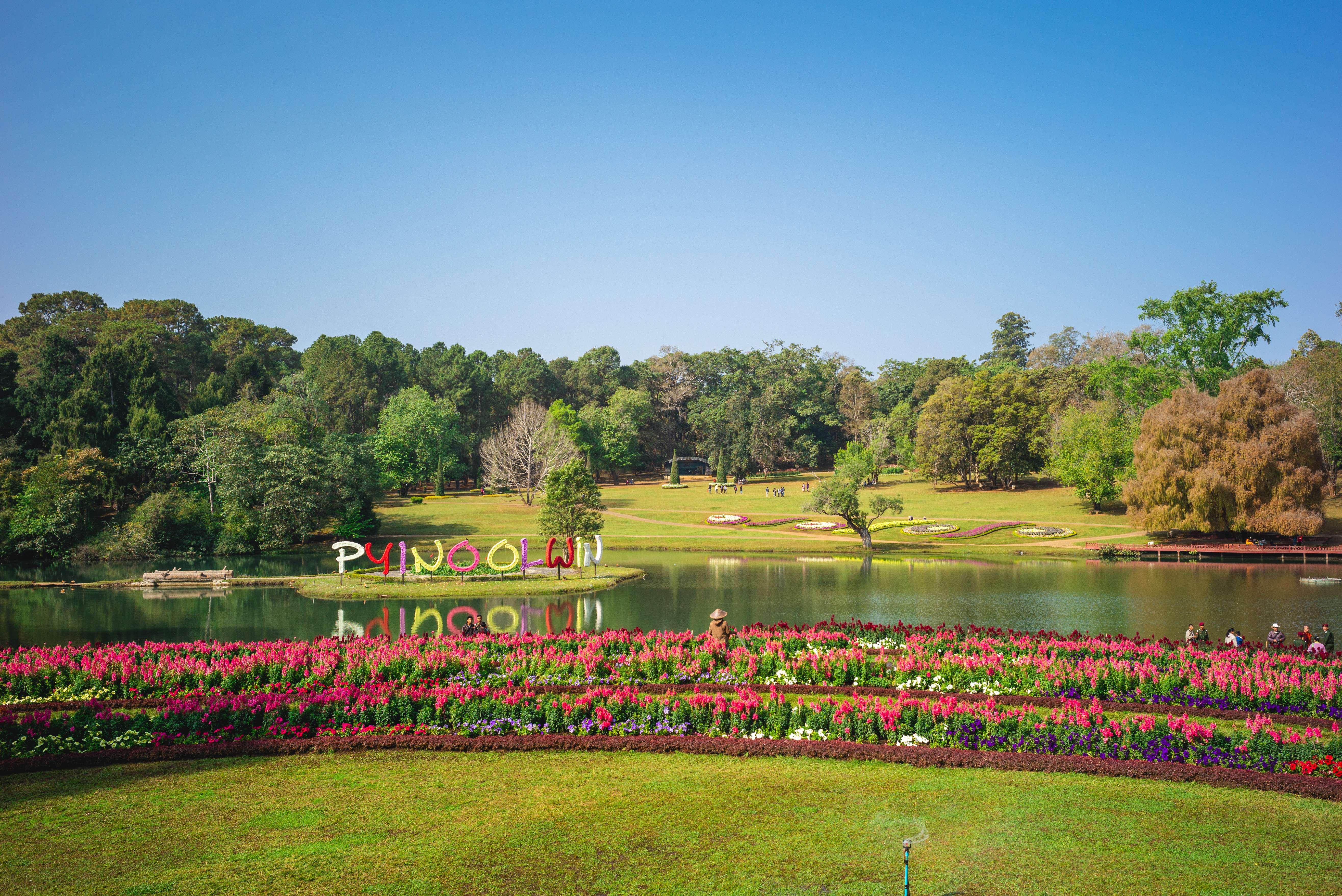 National Kandawgyi Gardens