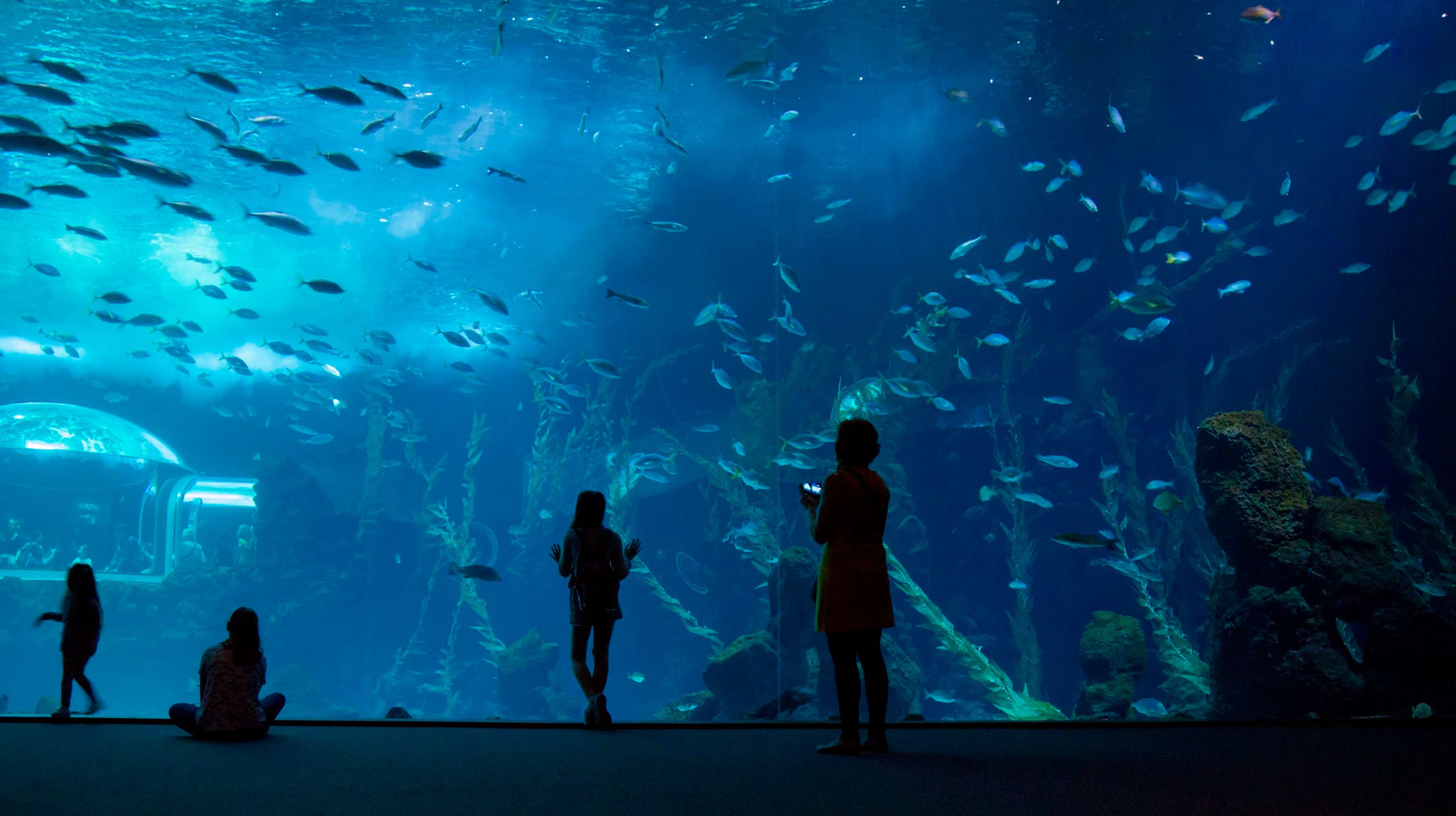 Palma Aquarium