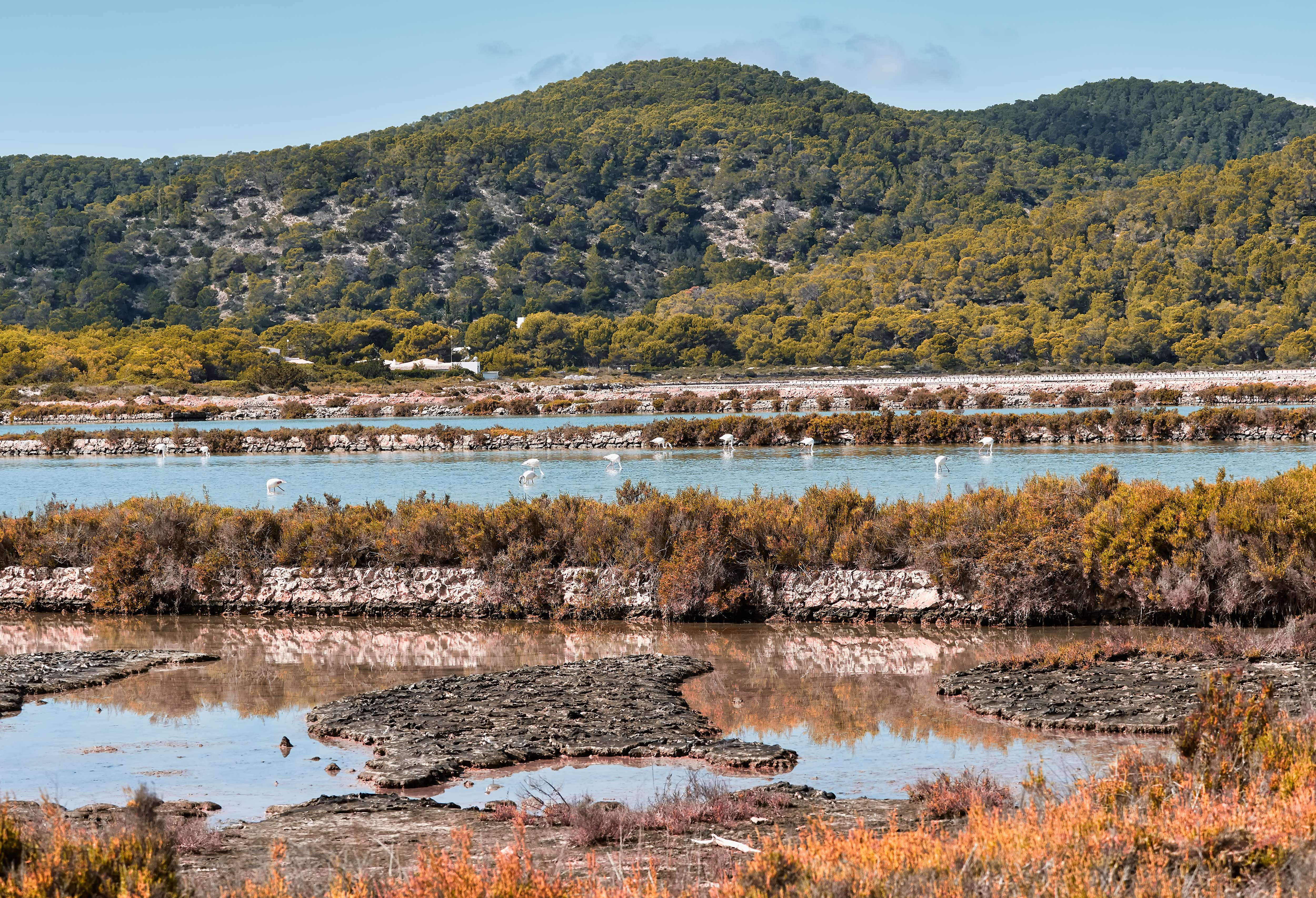 Ses Salines Natural Park