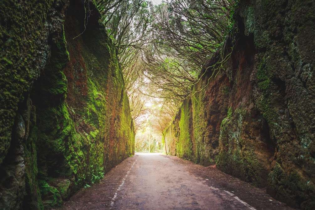 Parque Natural de Anaga